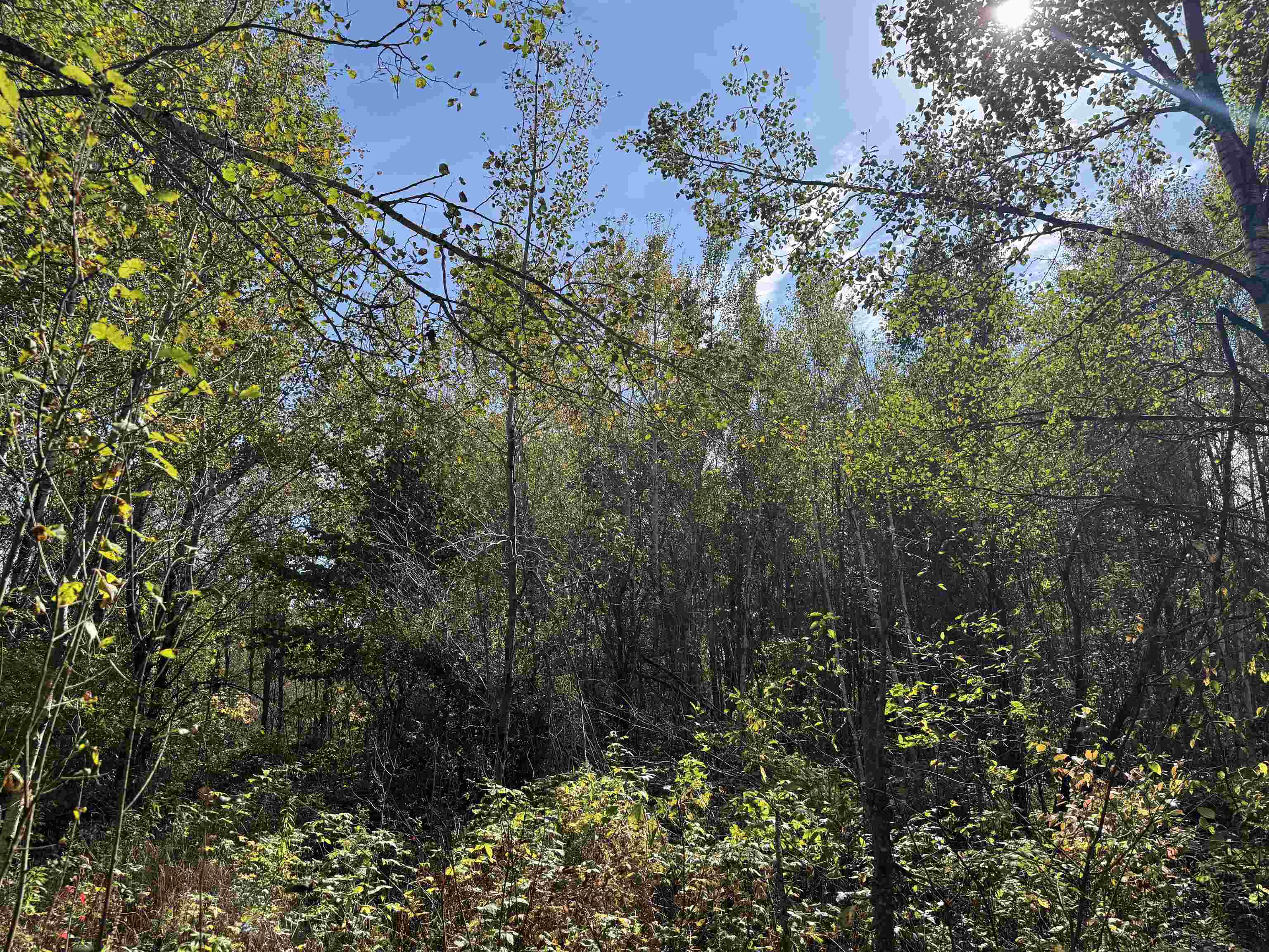 1xxx 460th Ln Palisade MN 56469 6122346 image18