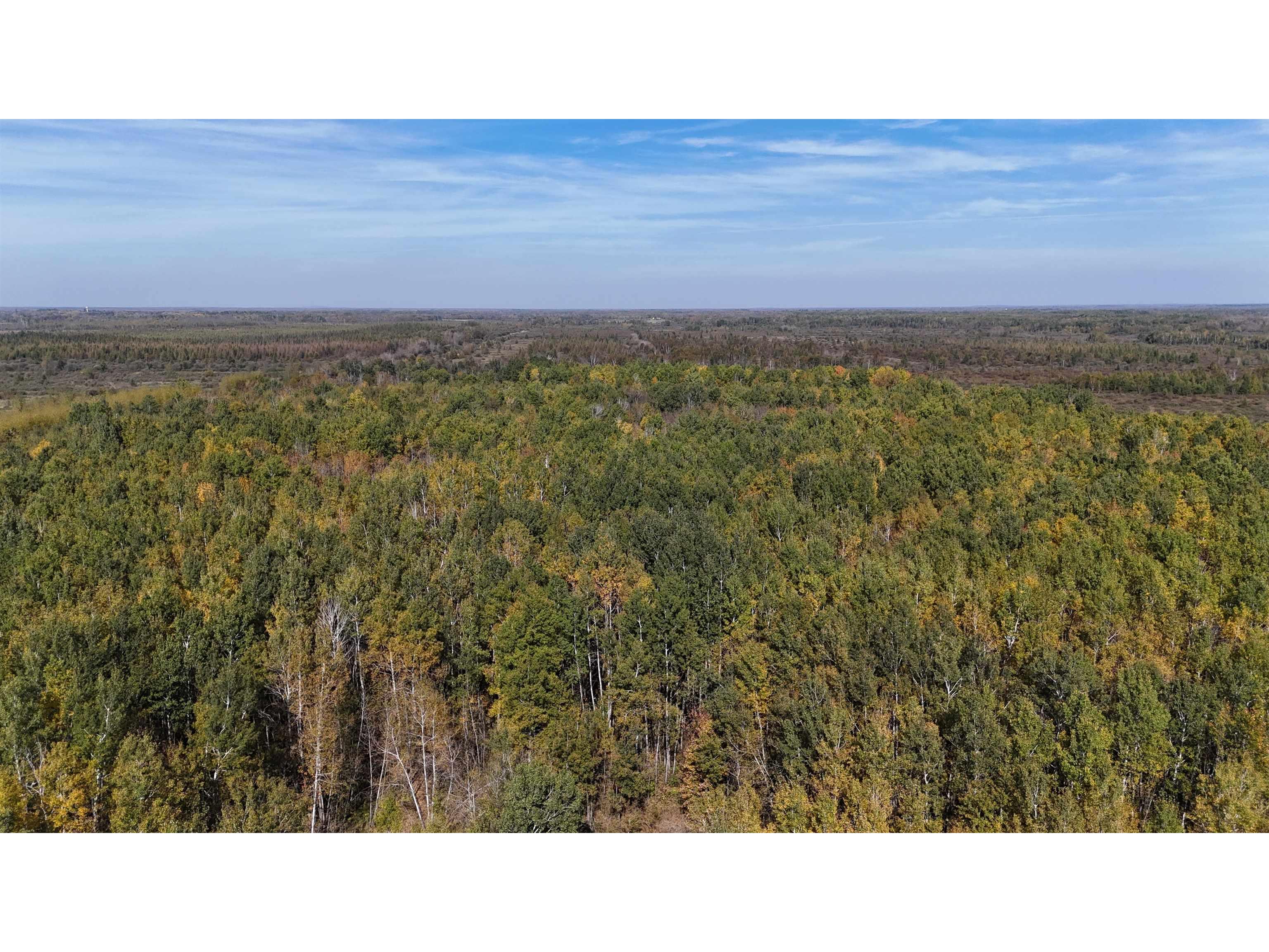 1xxx 460th Ln Palisade MN 56469 6122346 image2