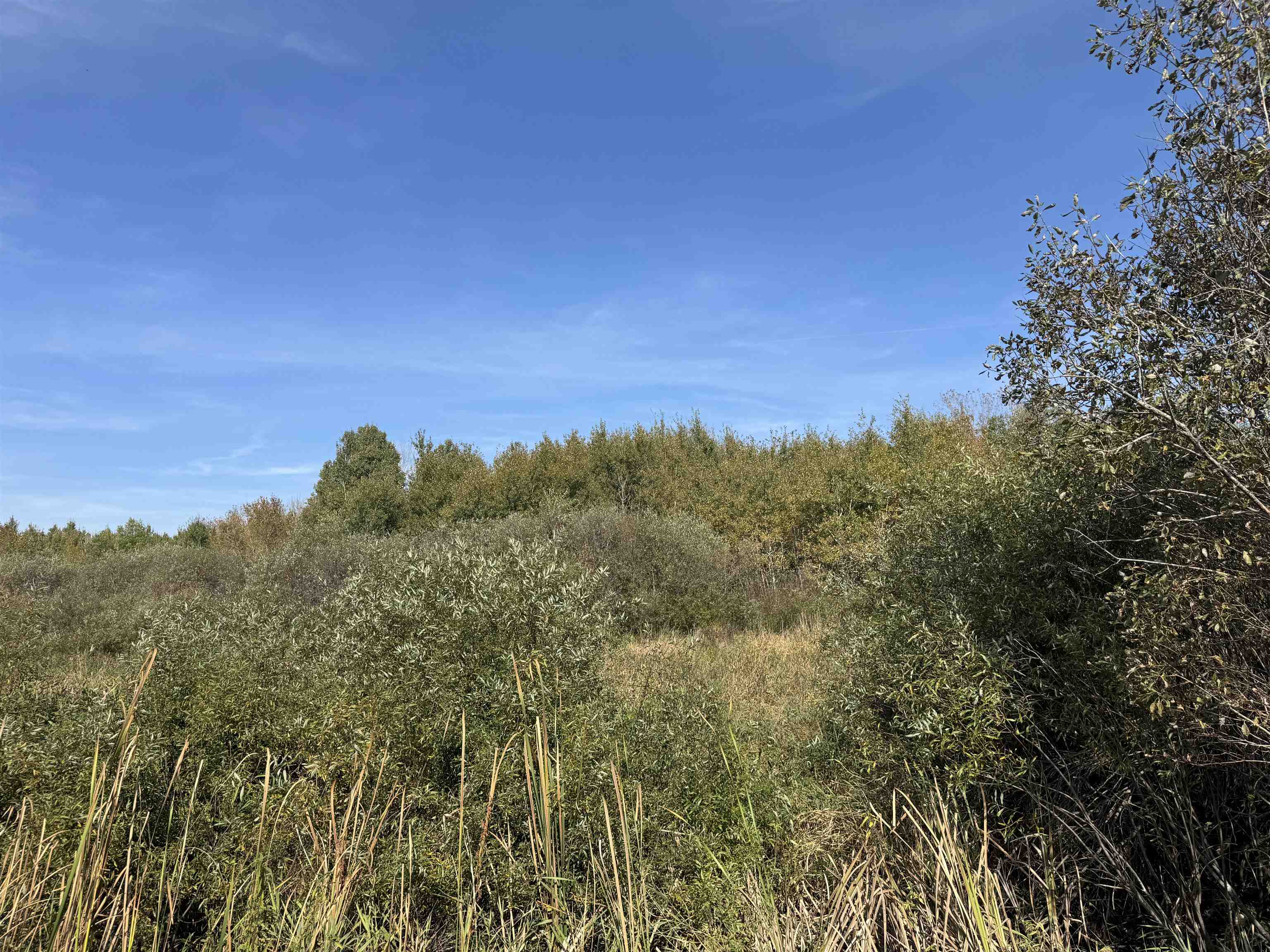 1xxx 460th Ln Palisade MN 56469 6122346 image20