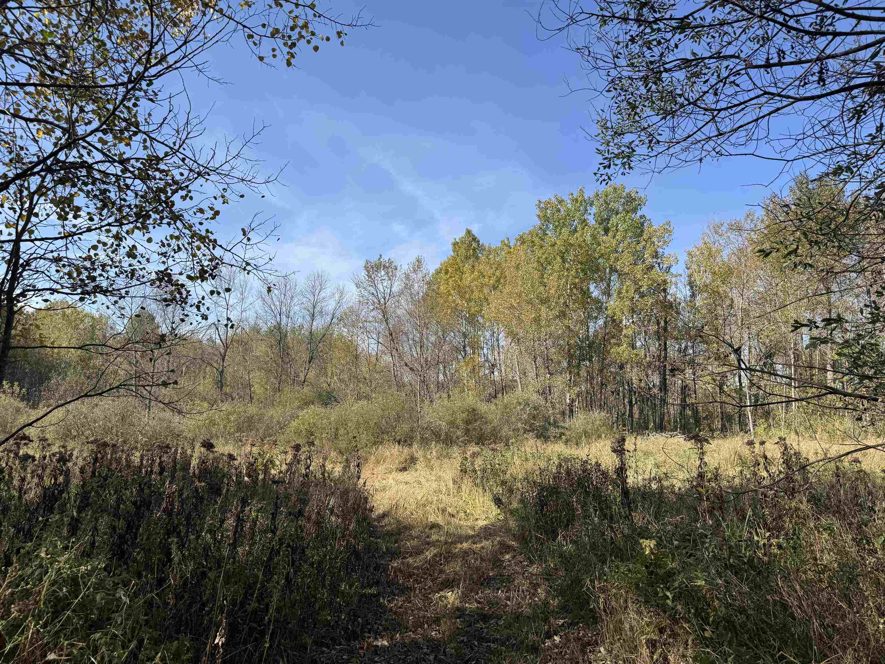 1xxx 460th Ln Palisade MN 56469 6122346 image4