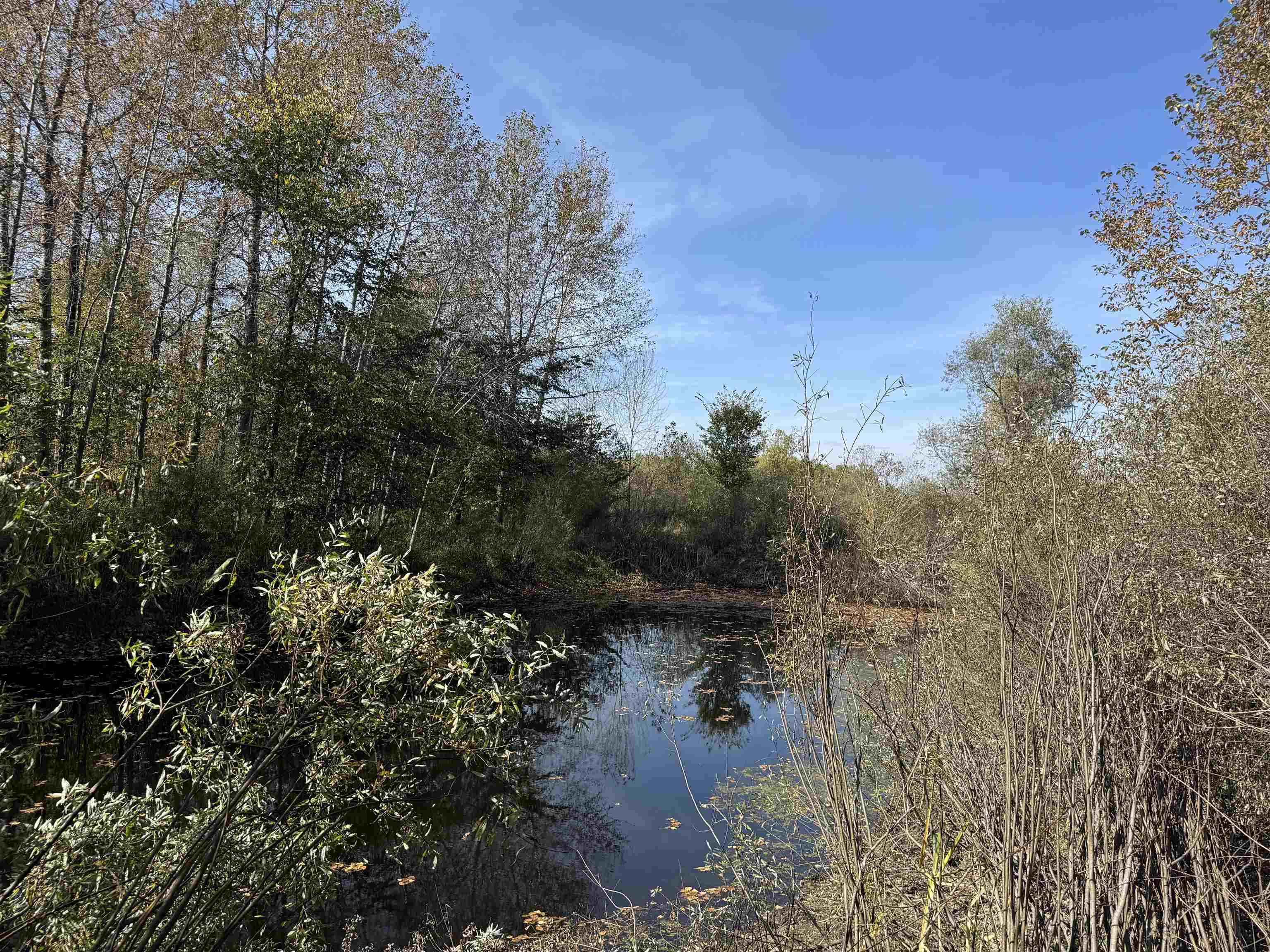 1xxx 460th Ln Palisade MN 56469 6122346 image5