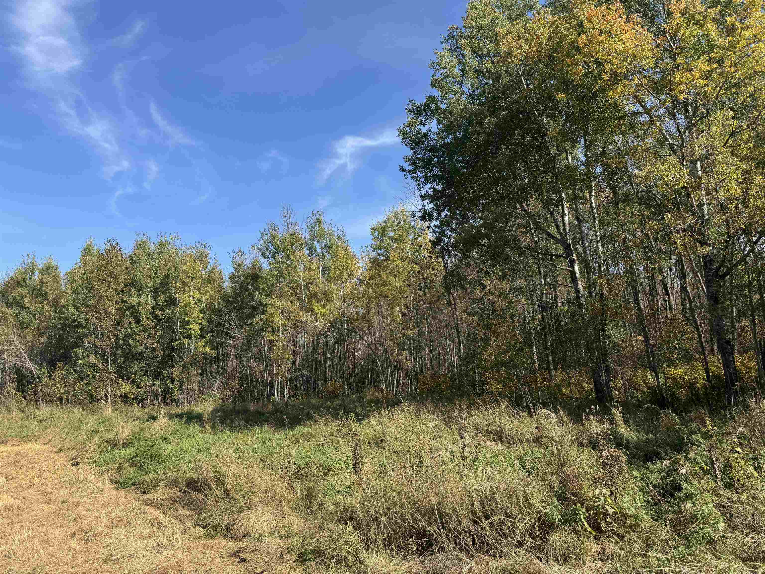 1xxx 460th Ln Palisade MN 56469 6122346 image9