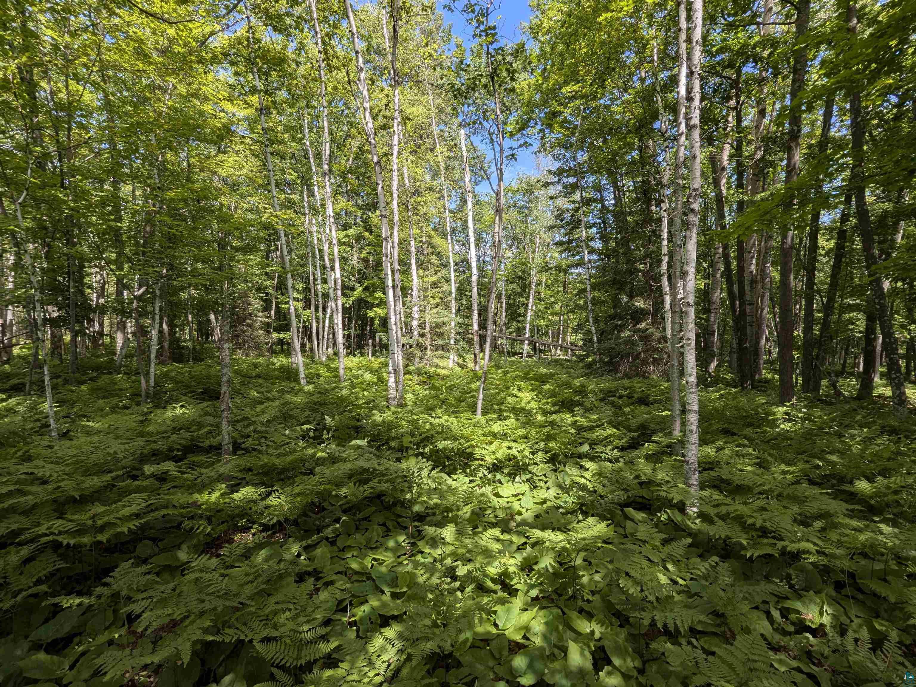 1xxxx State Highway 13 Port Wing WI 54865 6114671 image2