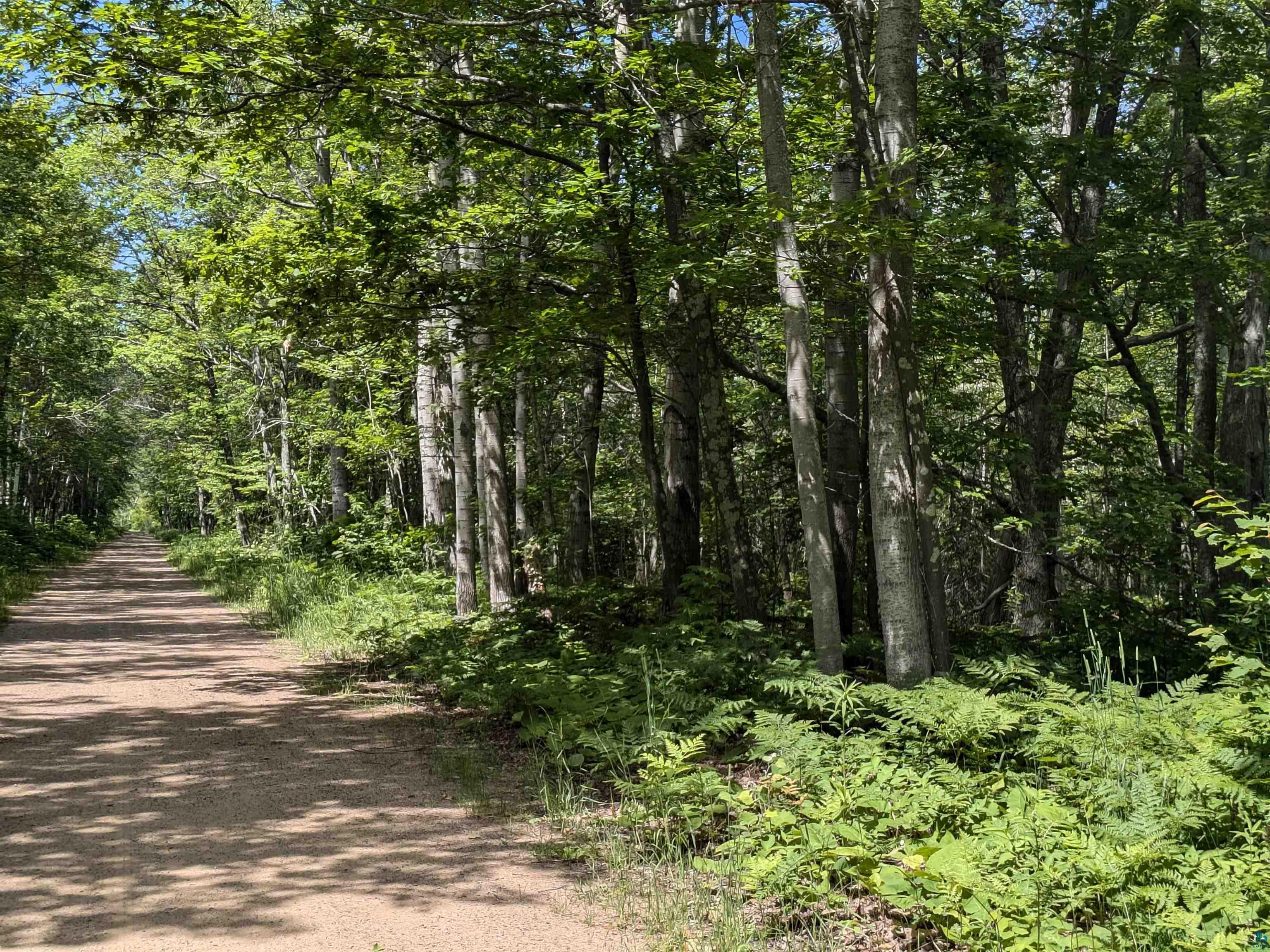 1xxxx State Highway 13 Port Wing WI 54865 6114671 image4