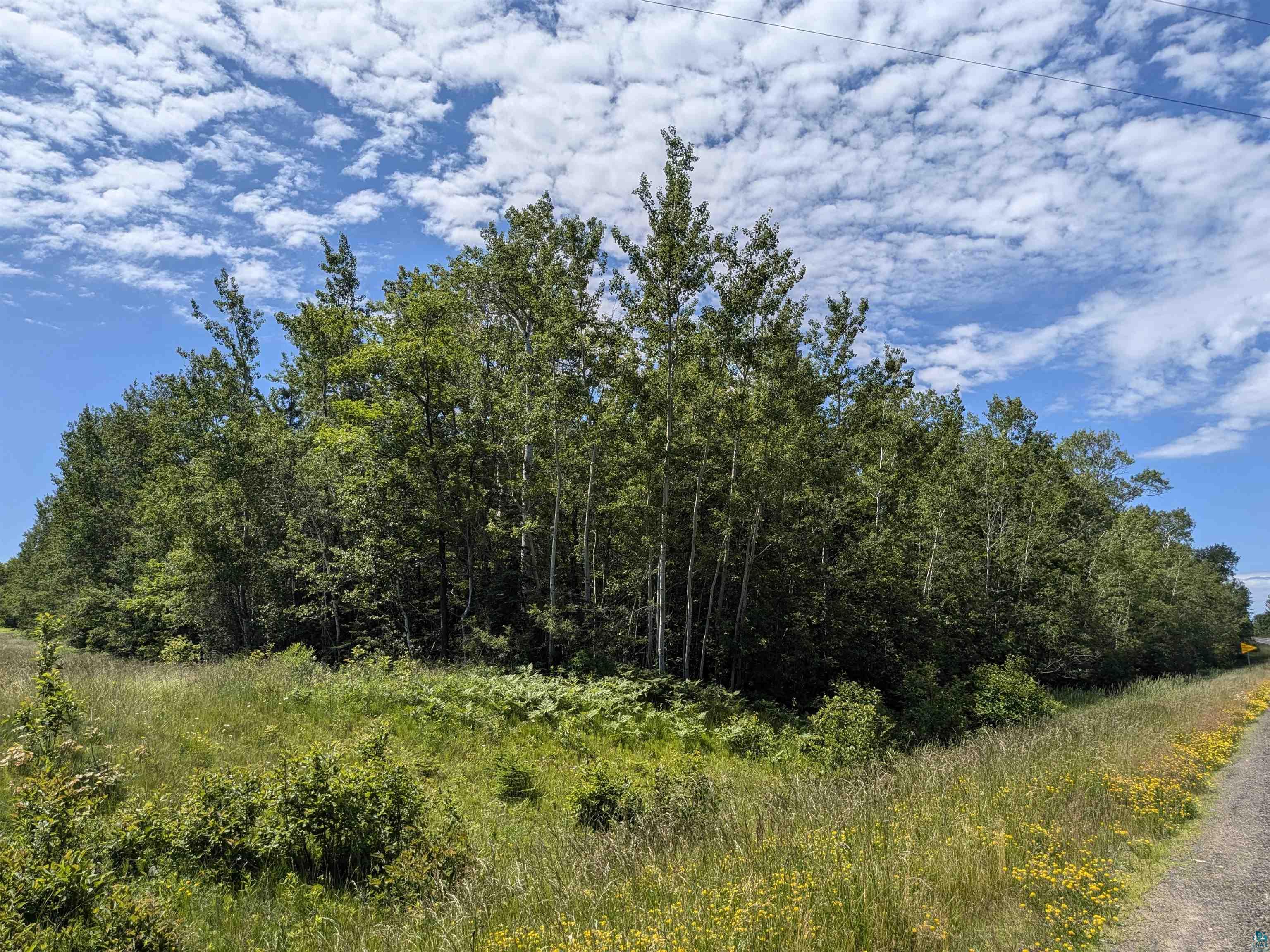 1xxxx State Highway 13 Port Wing WI 54865 6114671 image5