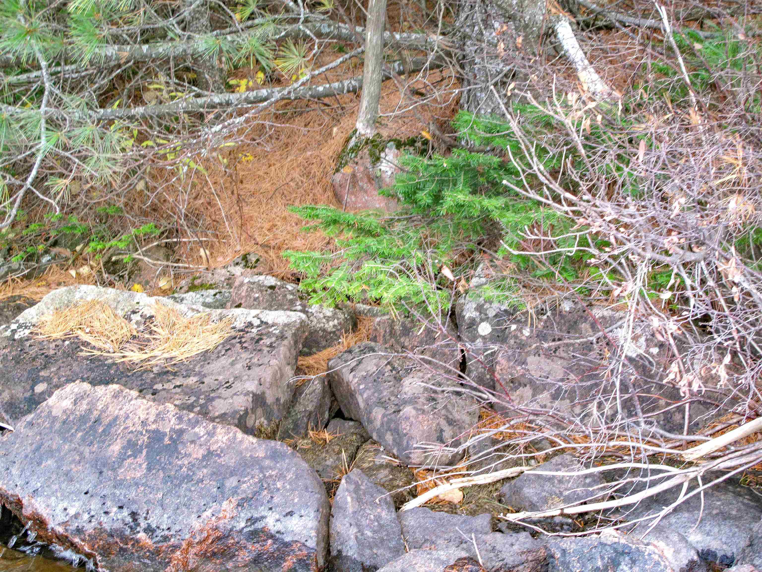 2-3 Fullerton Rd Hovland MN 55606 - Devilfish 6122627 image23