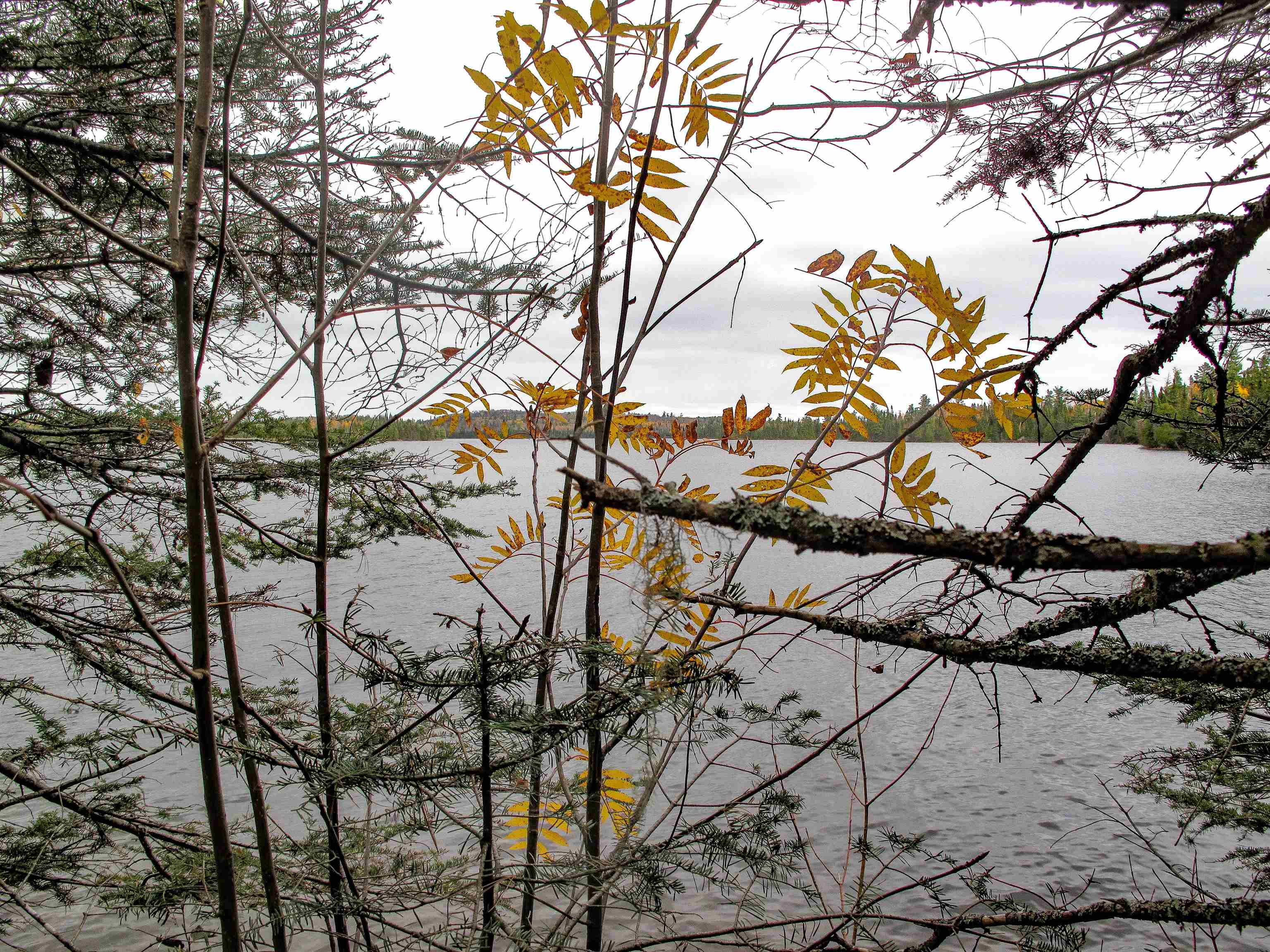 2-3 Fullerton Rd Hovland MN 55606 - Devilfish 6122627 image26