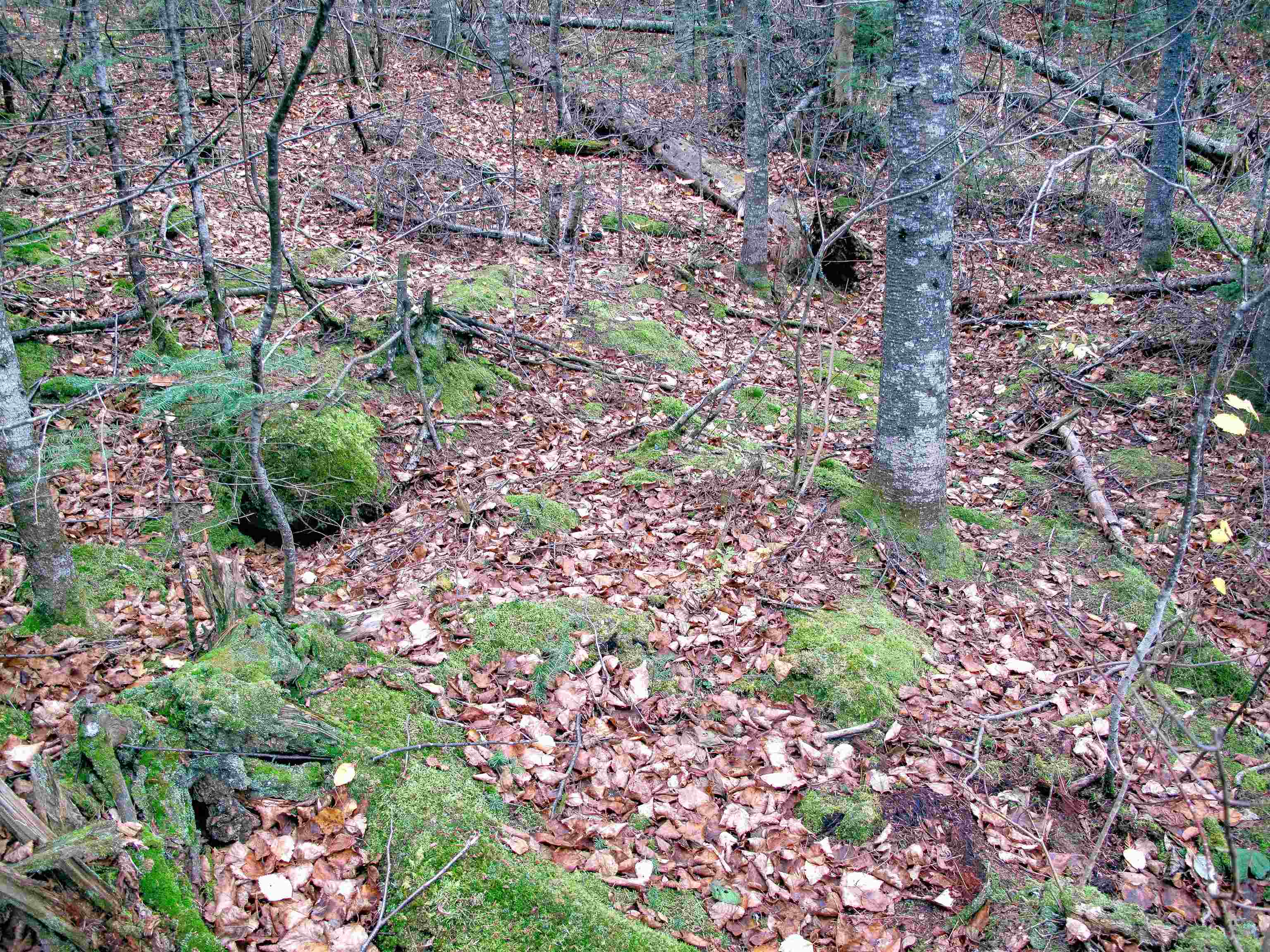 2-3 Fullerton Rd Hovland MN 55606 - Devilfish 6122627 image35