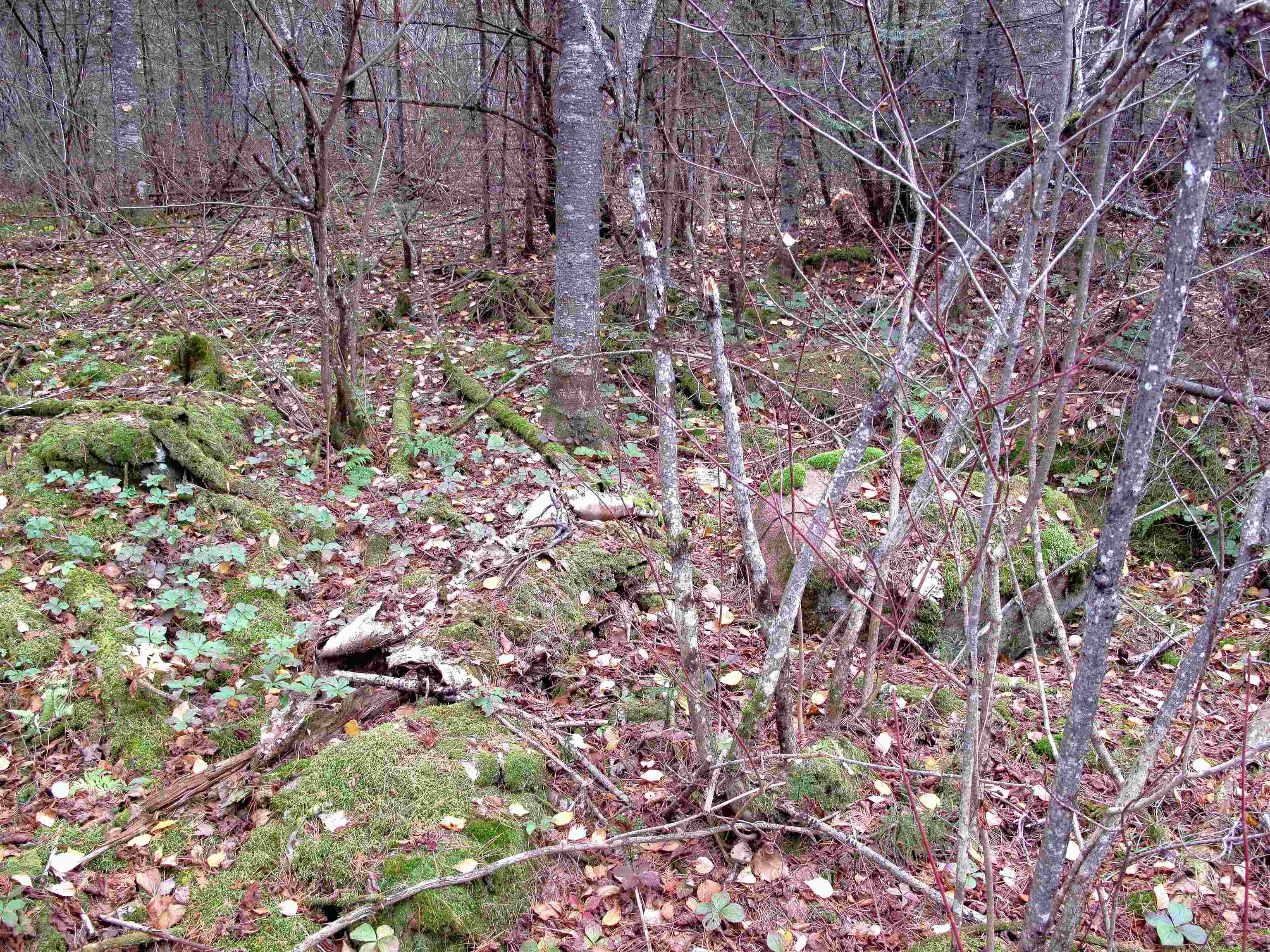 2-3 Fullerton Rd Hovland MN 55606 - Devilfish 6122627 image38