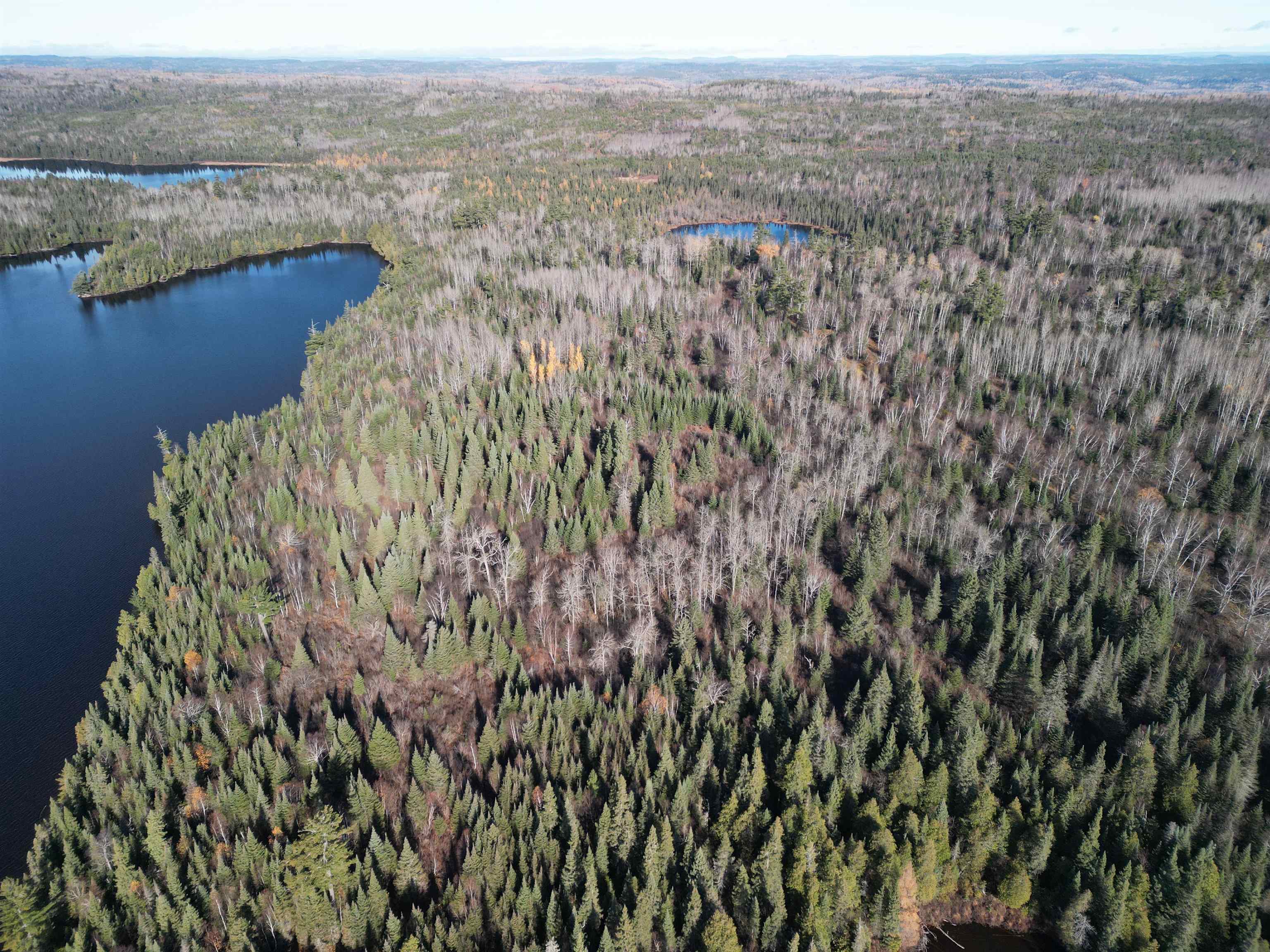 2-3 Fullerton Rd Hovland MN 55606 - Devilfish 6122627 image5