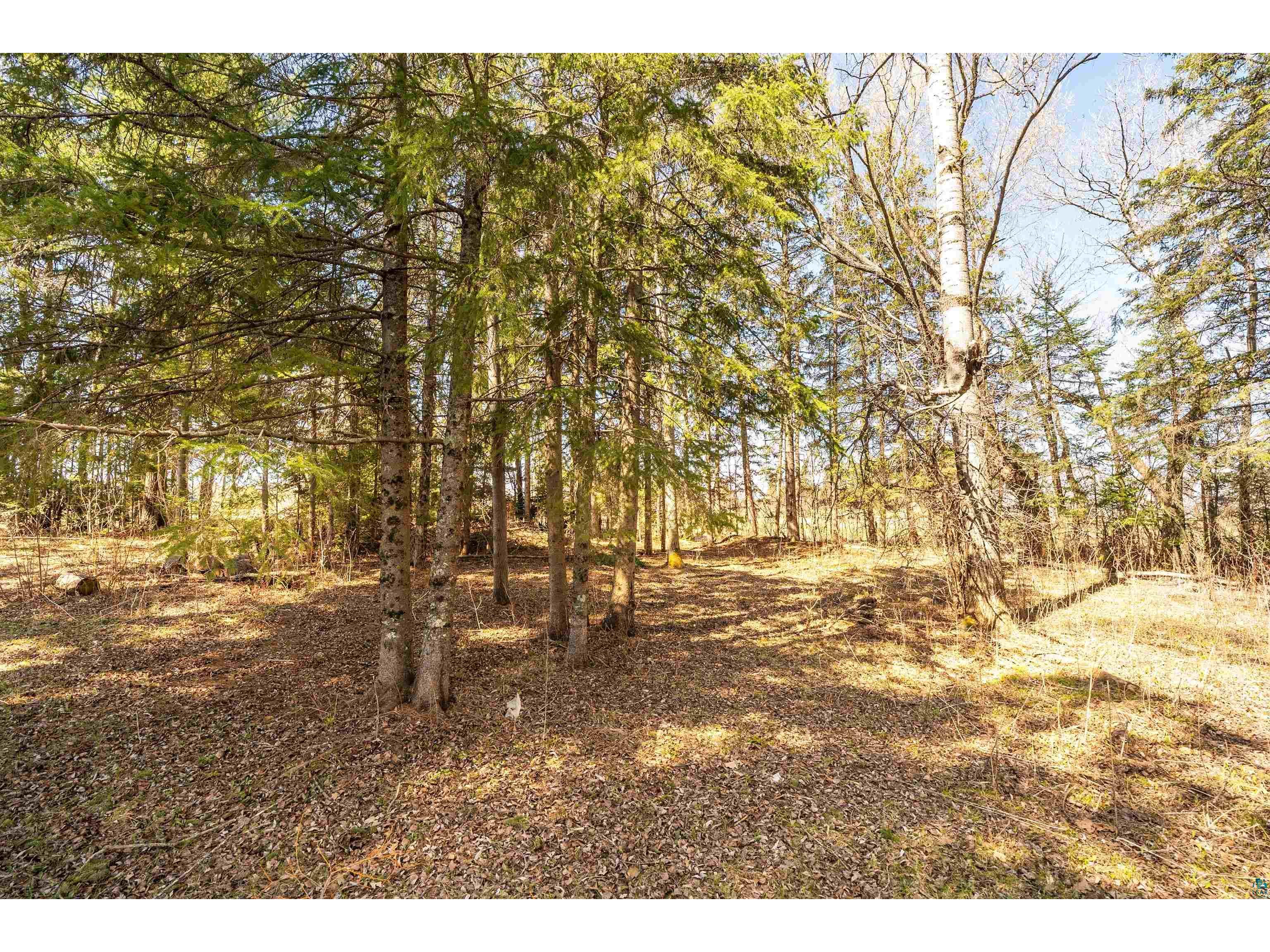 2001 Shilhon Rd Duluth MN 55804 6125238 image41