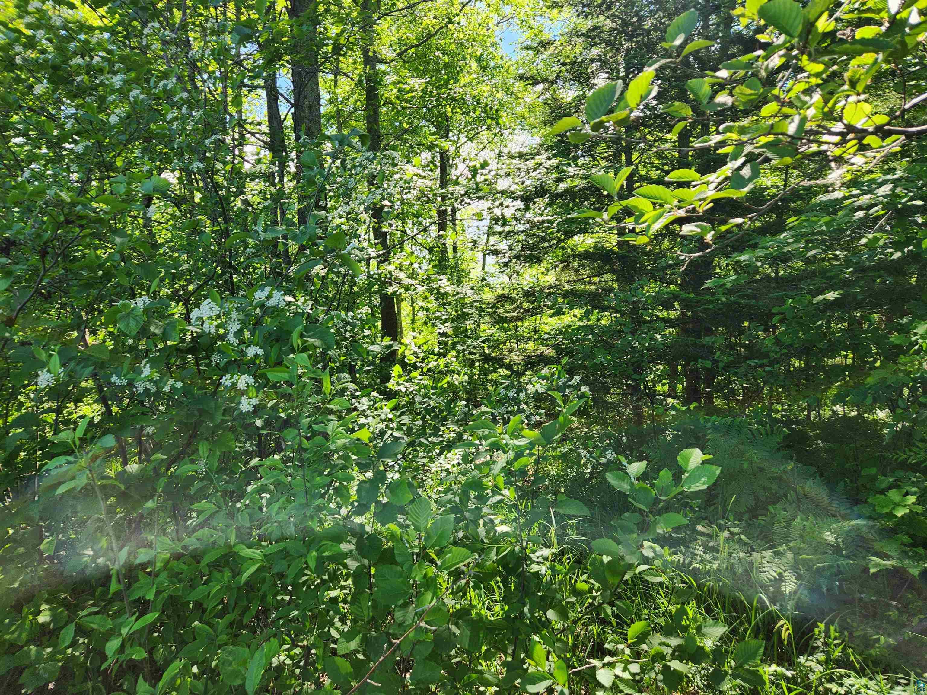 20210 Siskiwit Lake Rd Cornucopia WI 54827 - Siskiwit 6125217 image44