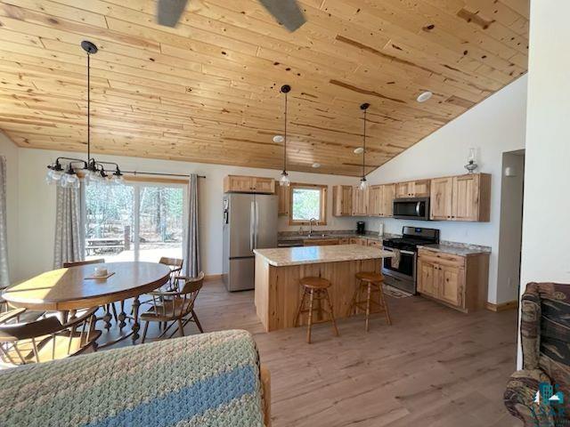 20411 County Rd 52 Cook MN 55723 - Little Bear Lake 6125092 image14