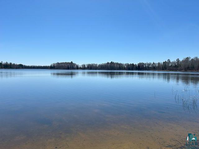 20469 County Rd 52 Cook MN 55723 - Little Bear Lake 6125083 image14