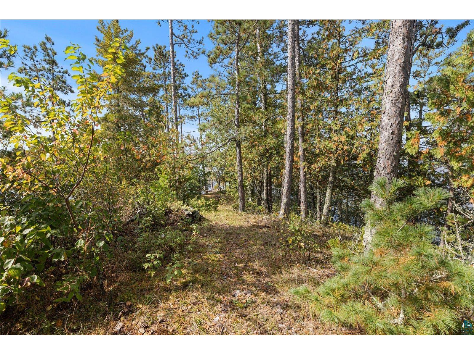 2050 Shipman Island Ely MN 55731 - Shagawa Lake 6124158 image40