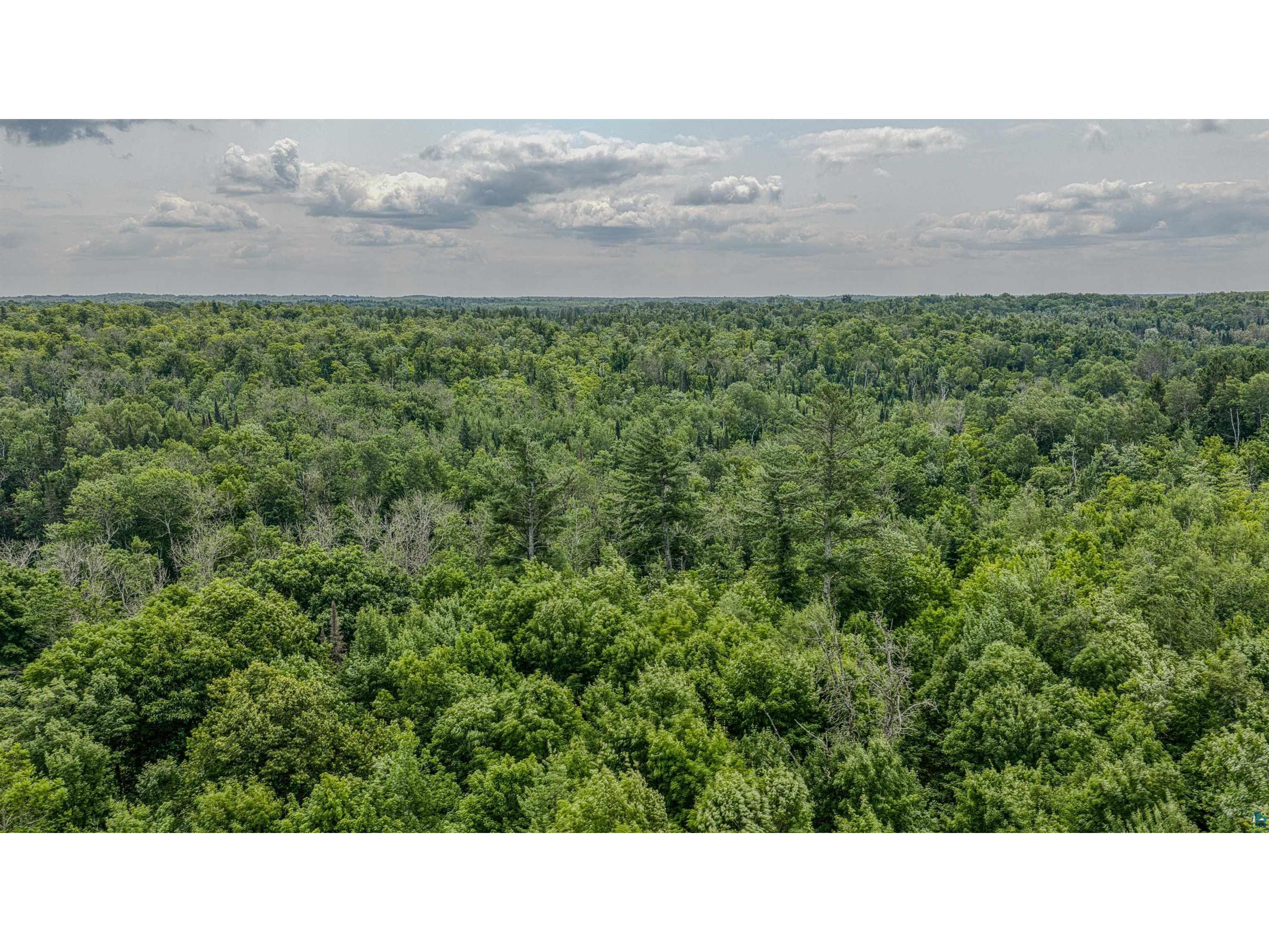 2084 E Foxboro Chaffey Rd Foxboro WI 54836 - Black Lake 6126895 image39