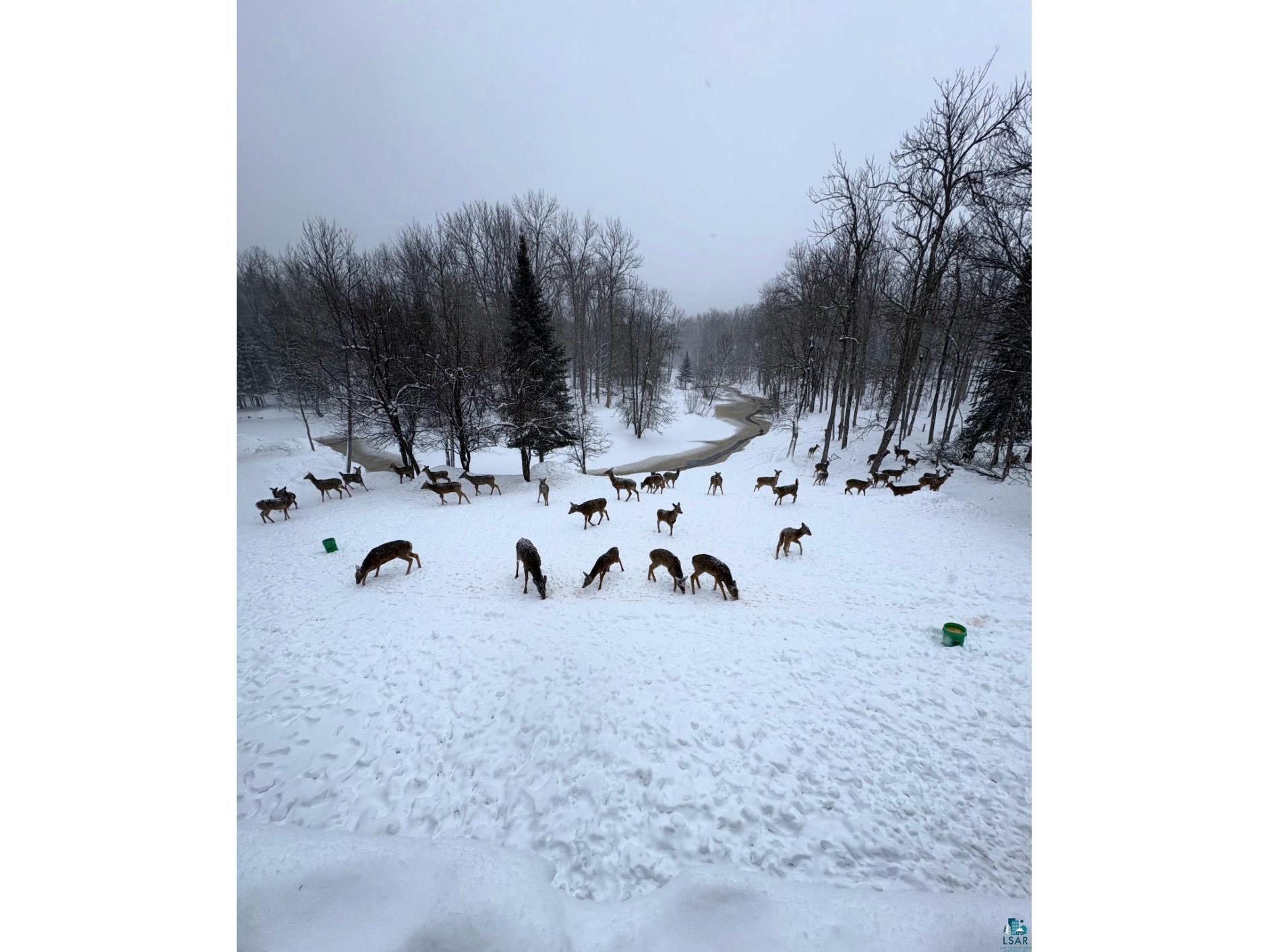 2084 E Foxboro Chaffey Rd Foxboro WI 54836 - Black Lake 6126895 image52