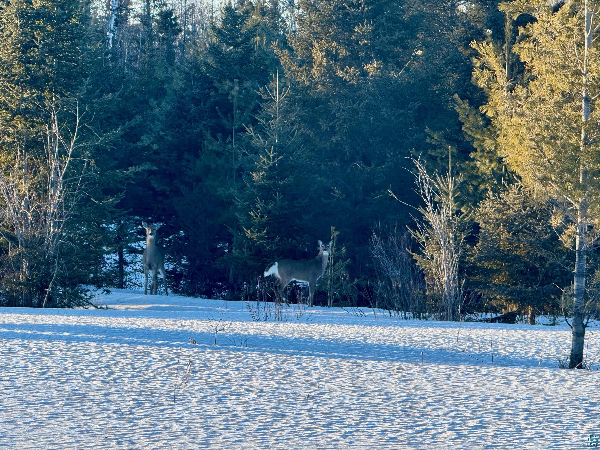 209xx Highway 2 Mason WI 54856 6123821 image3