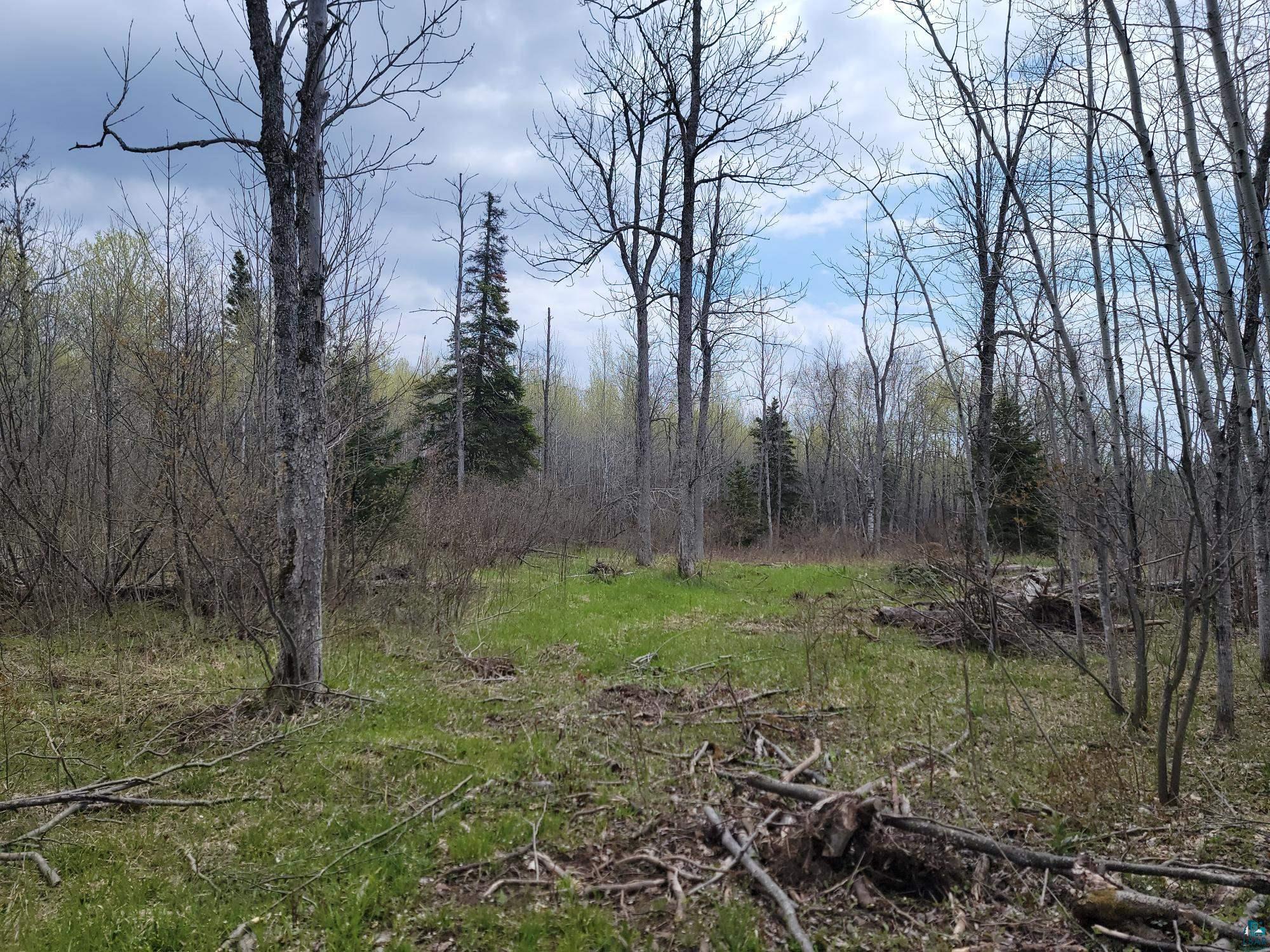 20X Sled Dog Trl Hovland MN 55606 6125699 image2