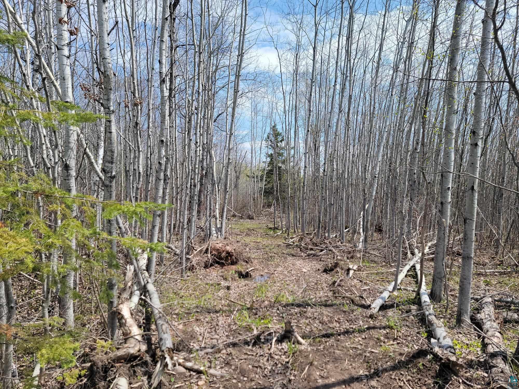 20X Sled Dog Trl Hovland MN 55606 6125699 image3