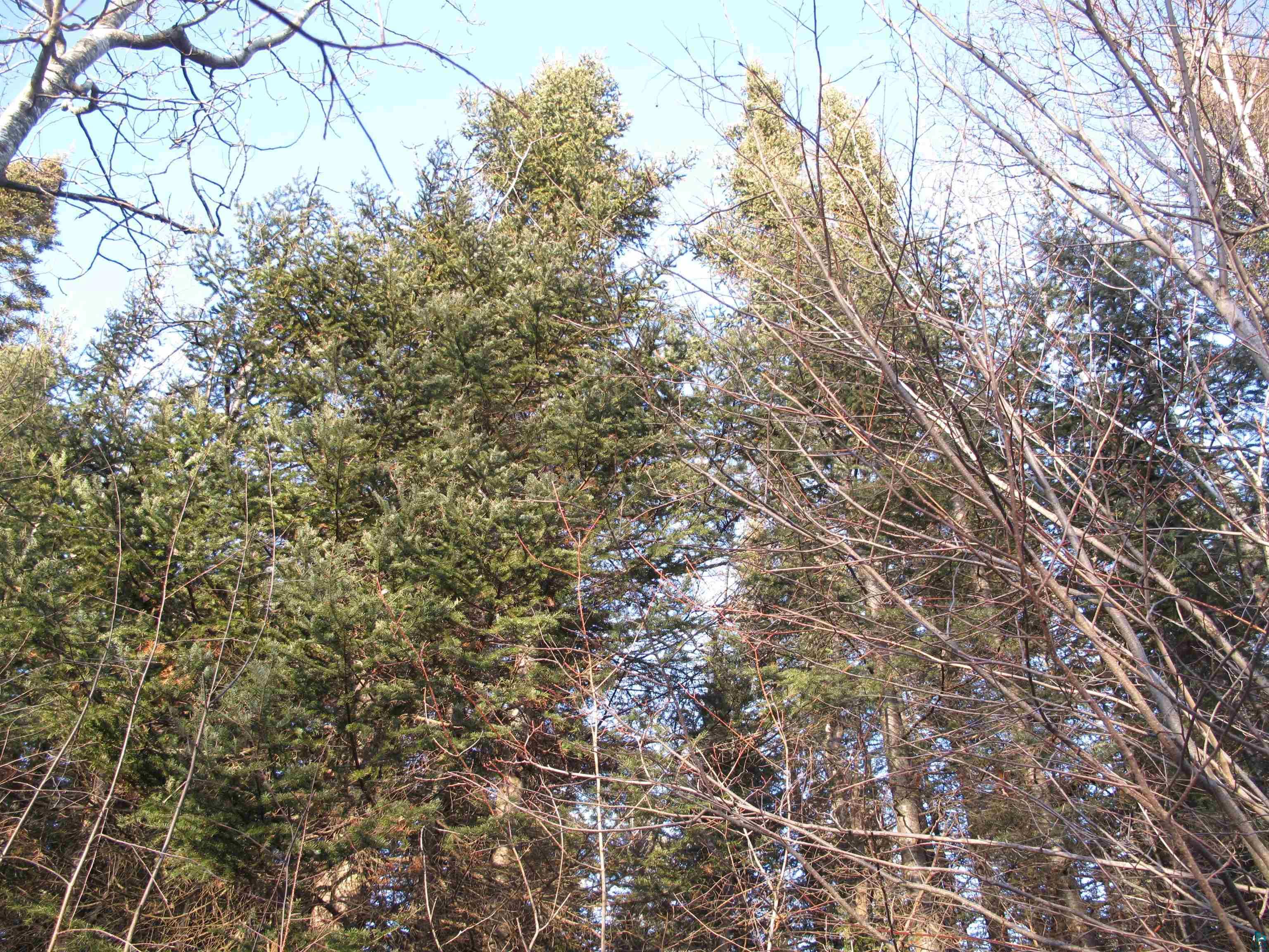 20xx 7th Ave W Grand Marais MN 55604 6111797 image1