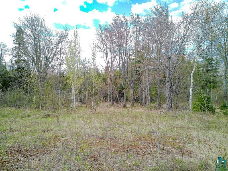 21 Pine Tree Dr Lutsen MN 55612 6125603 image40