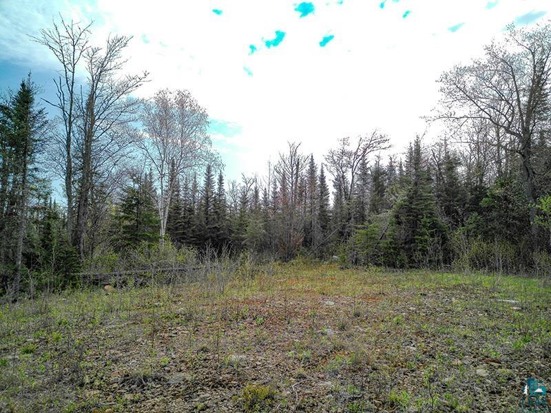 21 Pine Tree Dr Lutsen MN 55612 6125603 image41