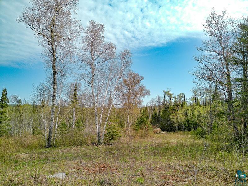 21 Pine Tree Dr Lutsen MN 55612 6125603 image5