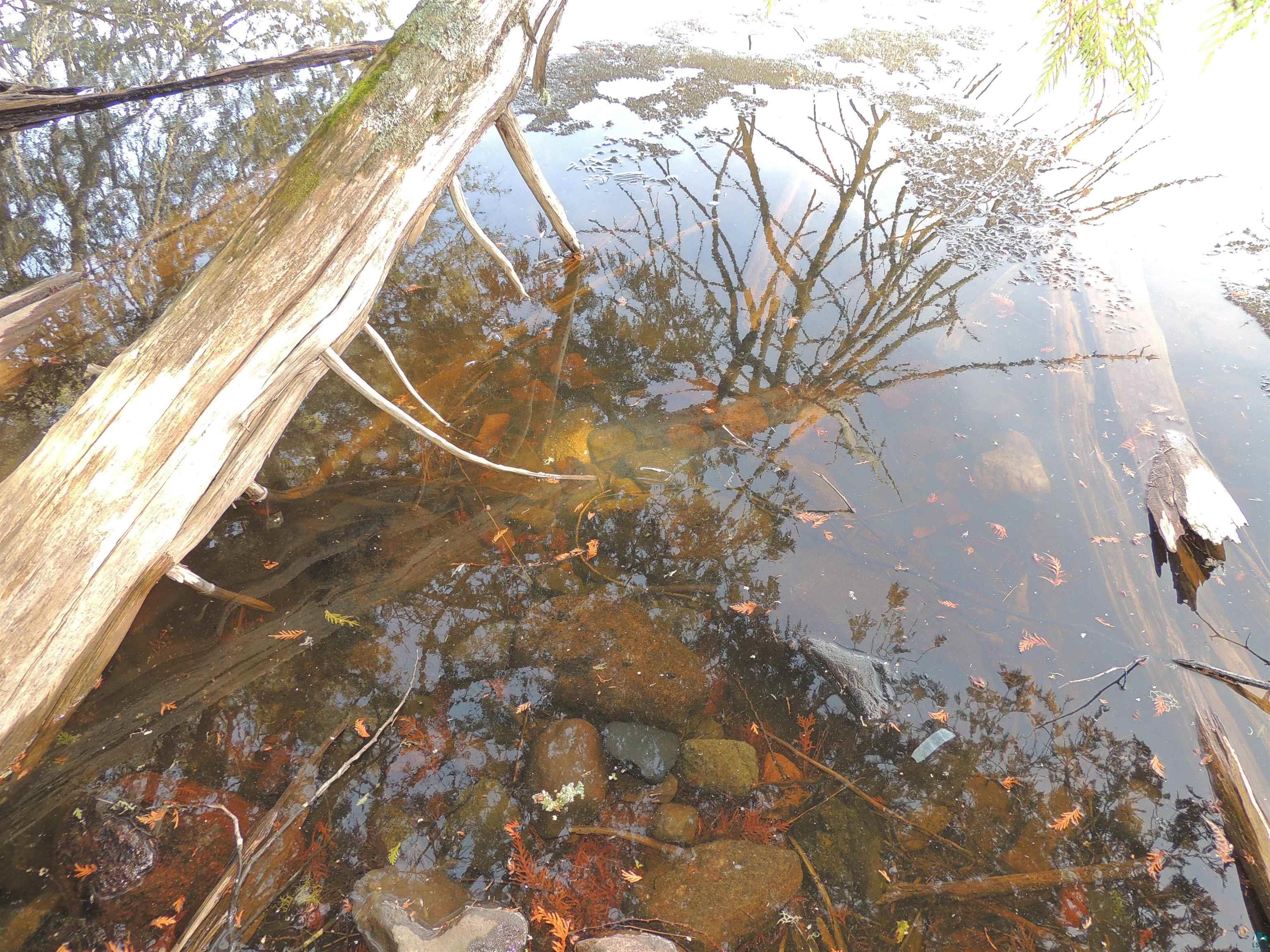 210 E Deeryard Lake Rd Lutsen MN 55612 - Deeryard 6125798 image2