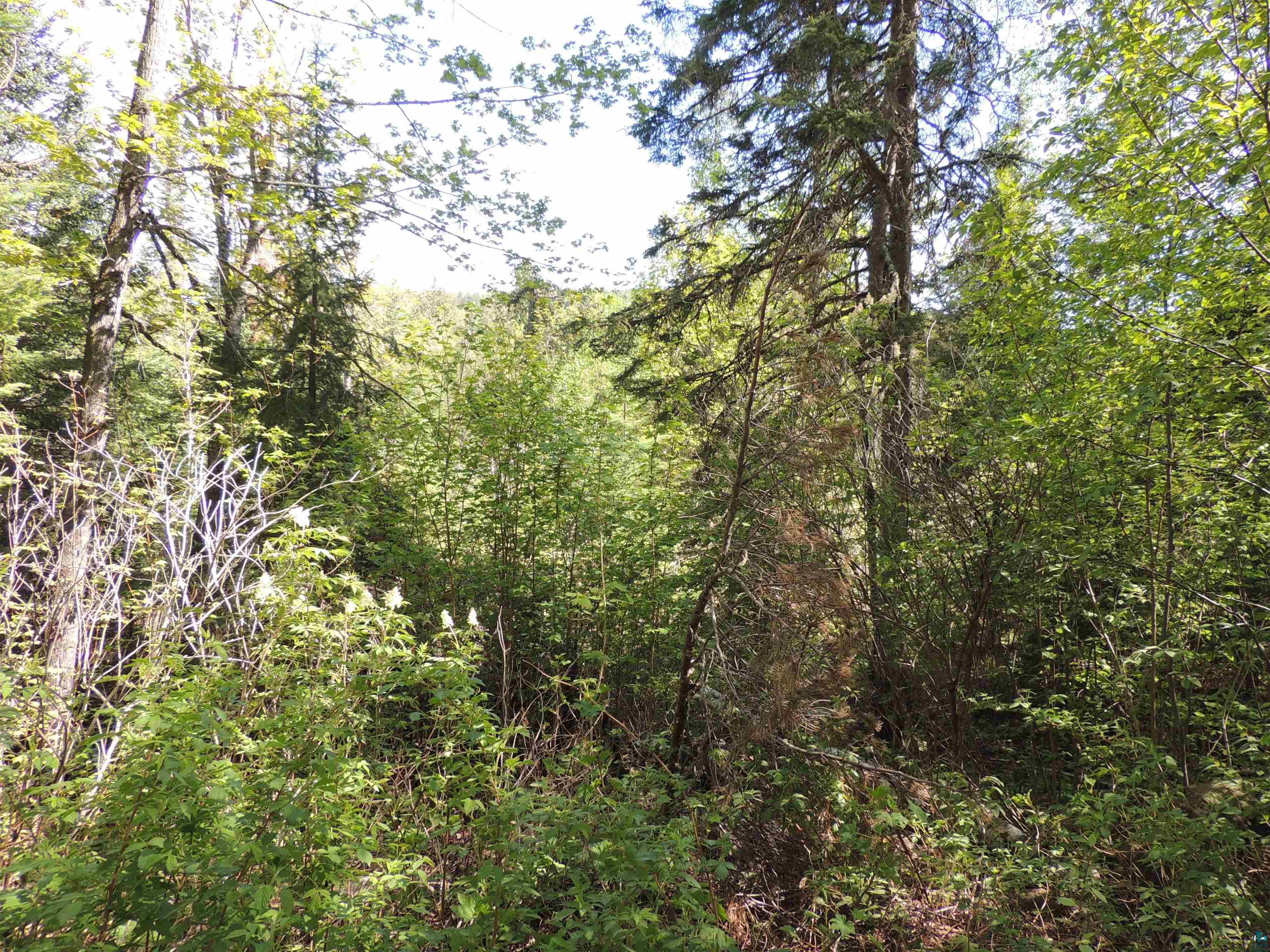 210 E Deeryard Lake Rd Lutsen MN 55612 - Deeryard 6125798 image3