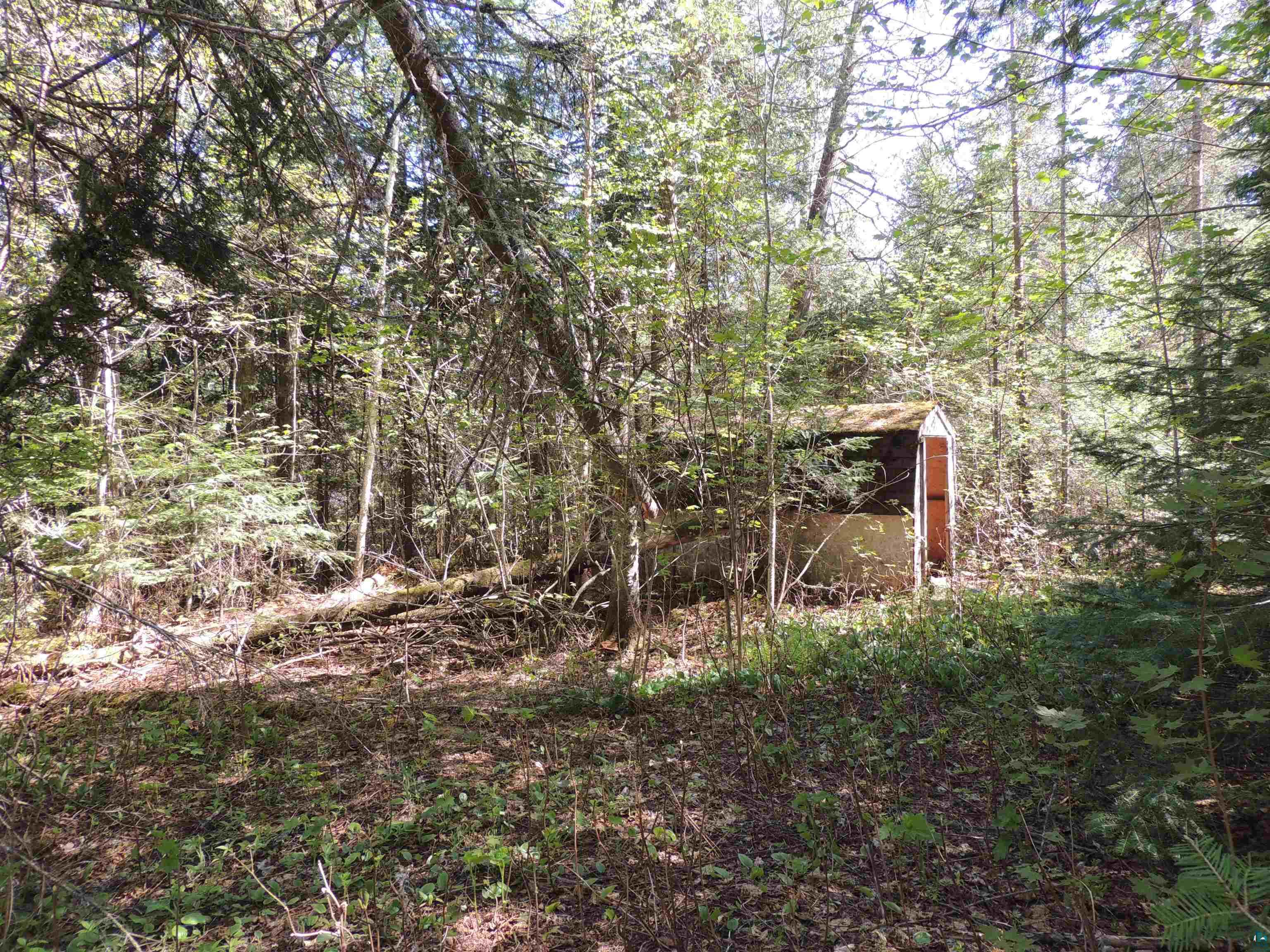 210 E Deeryard Lake Rd Lutsen MN 55612 - Deeryard 6125798 image4
