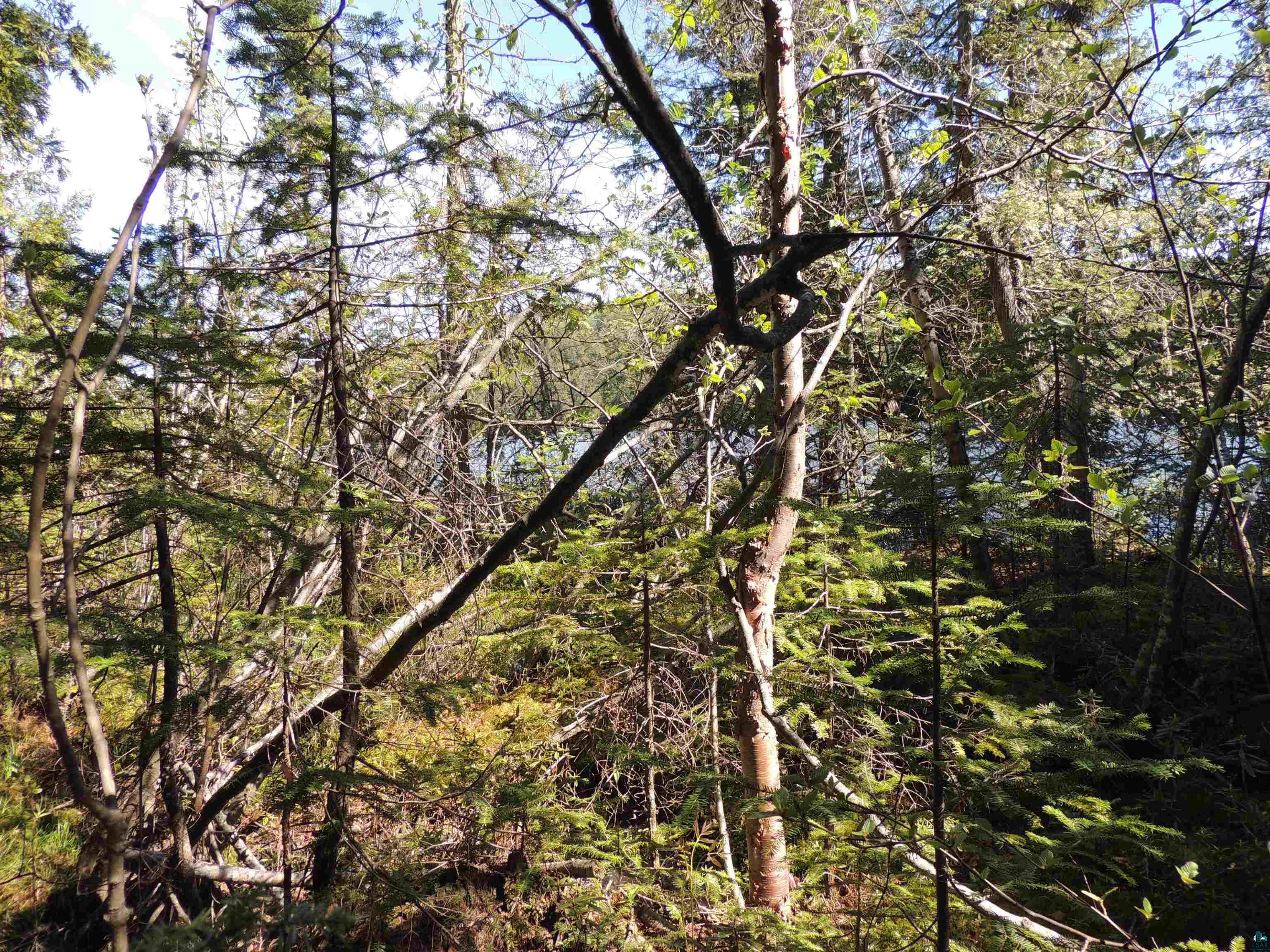 210 E Deeryard Lake Rd Lutsen MN 55612 - Deeryard 6125798 image5