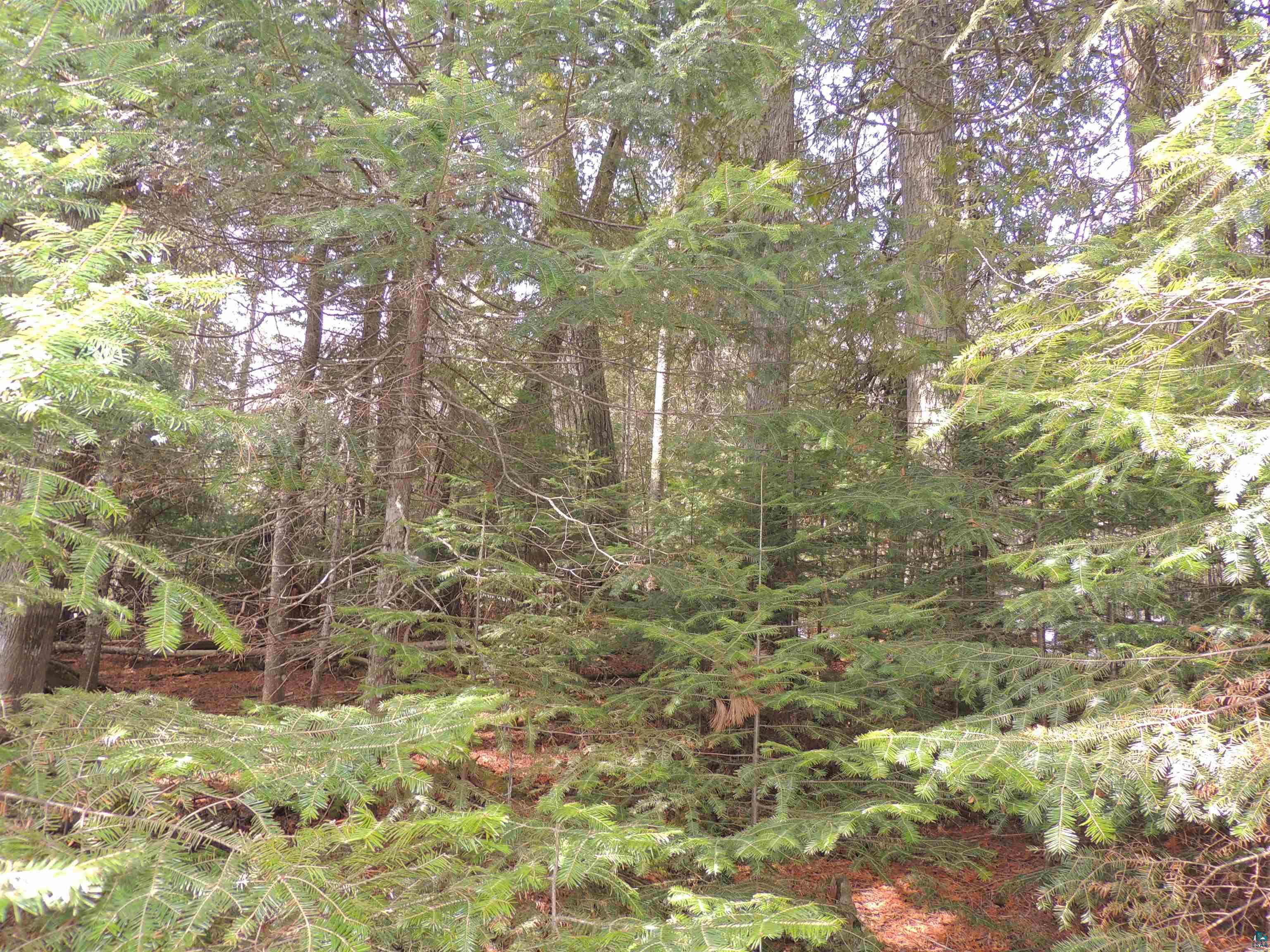 210 E Deeryard Lake Rd Lutsen MN 55612 - Deeryard 6125798 image7