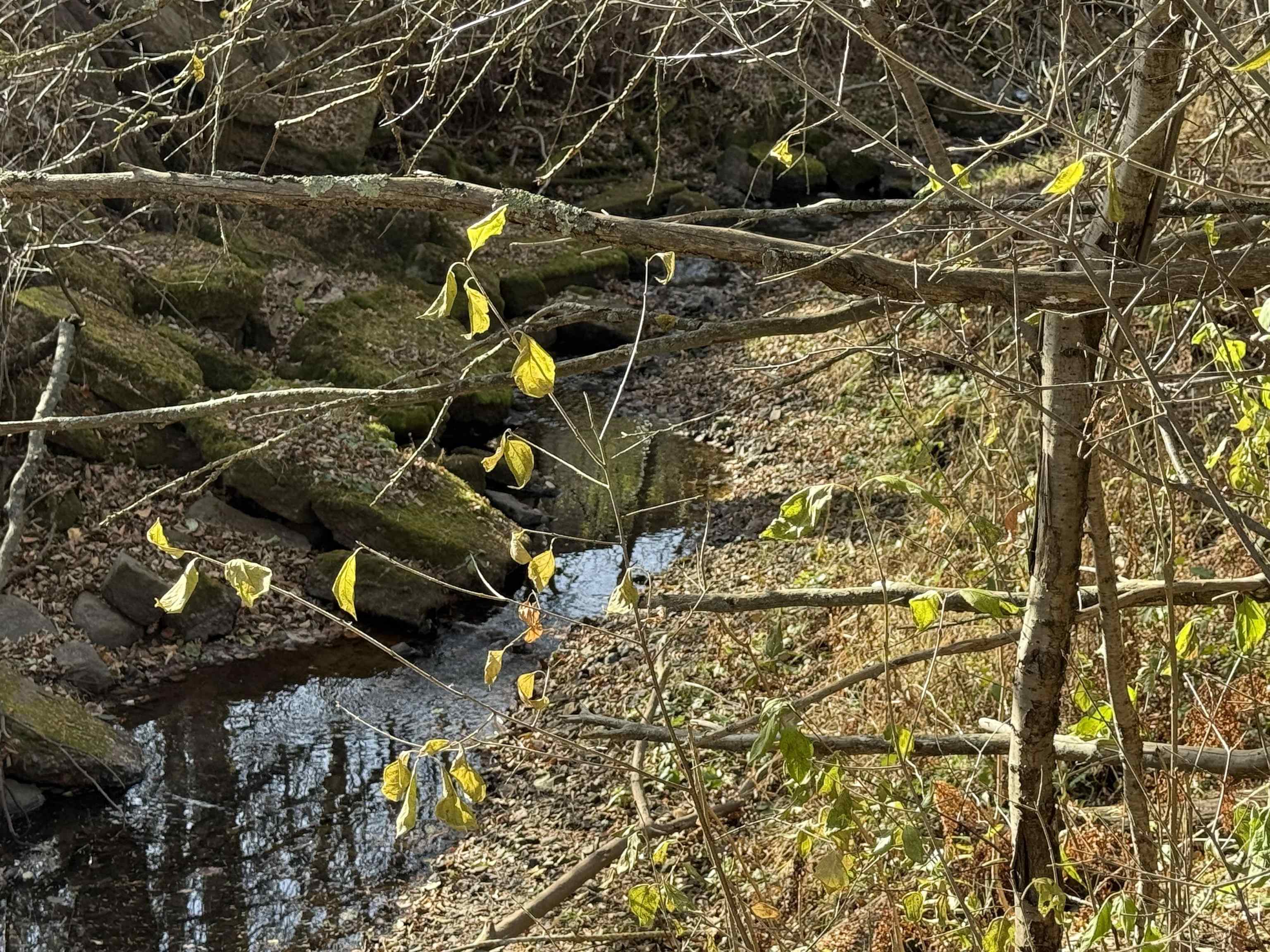 2100 W Arrowhead Rd Duluth MN 55811 - Chester Creek 6123664 image3