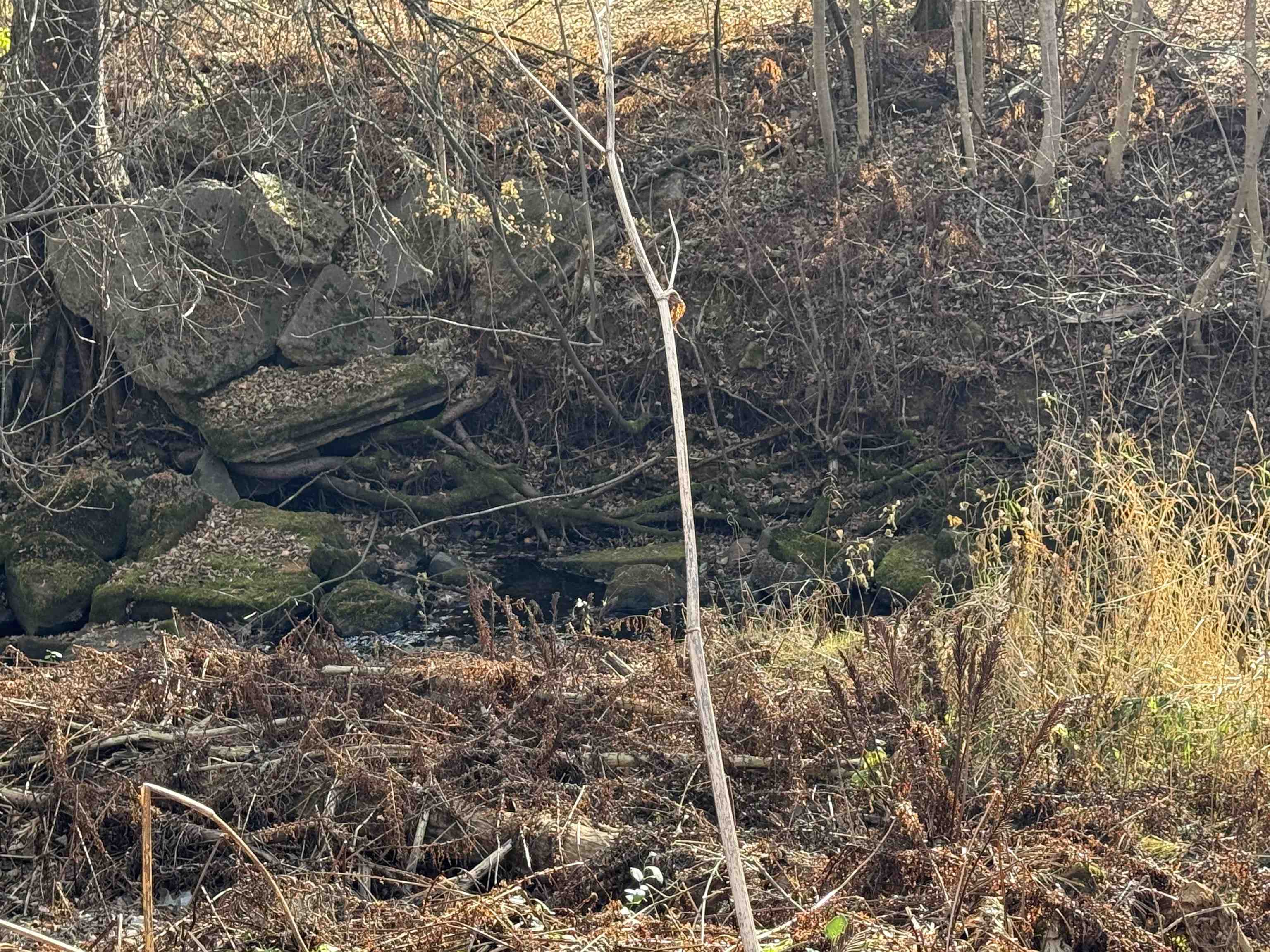 2100 W Arrowhead Rd Duluth MN 55811 - Chester Creek 6122922 image5