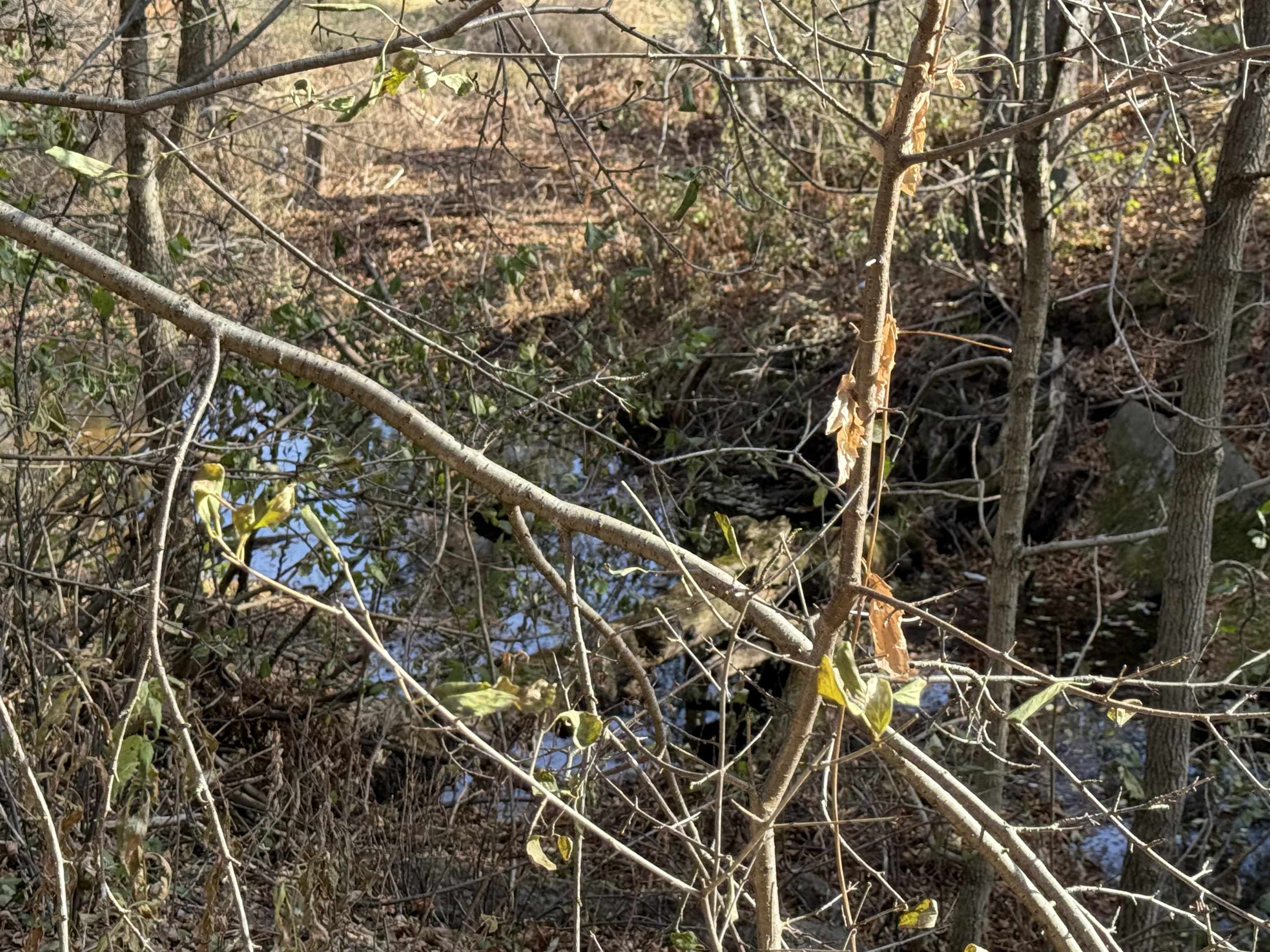 2100 W Arrowhead Rd Duluth MN 55811 - Chester Creek 6122922 image6