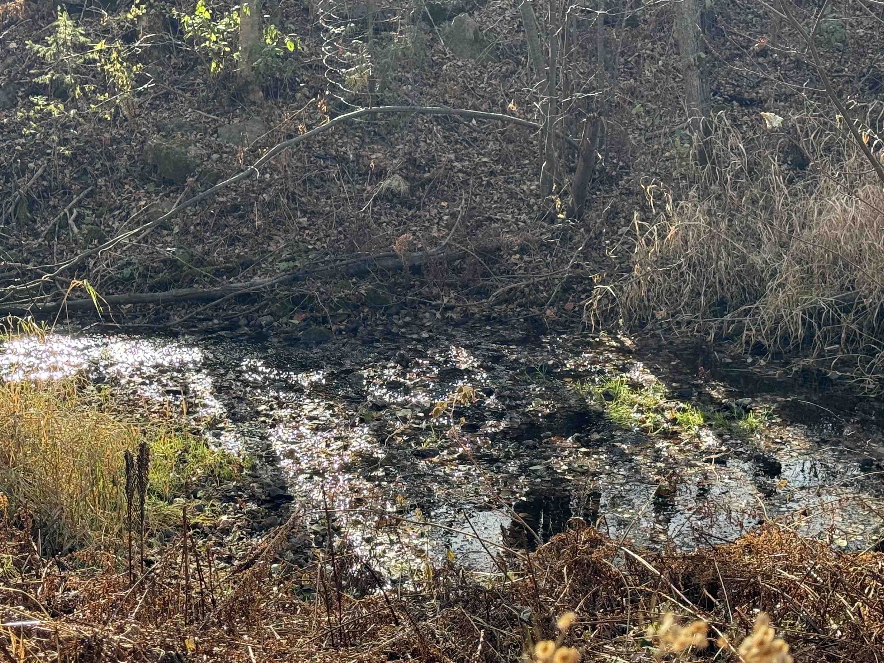 2100 W Arrowhead Rd Duluth MN 55811 - Chester Creek 6122922 image7