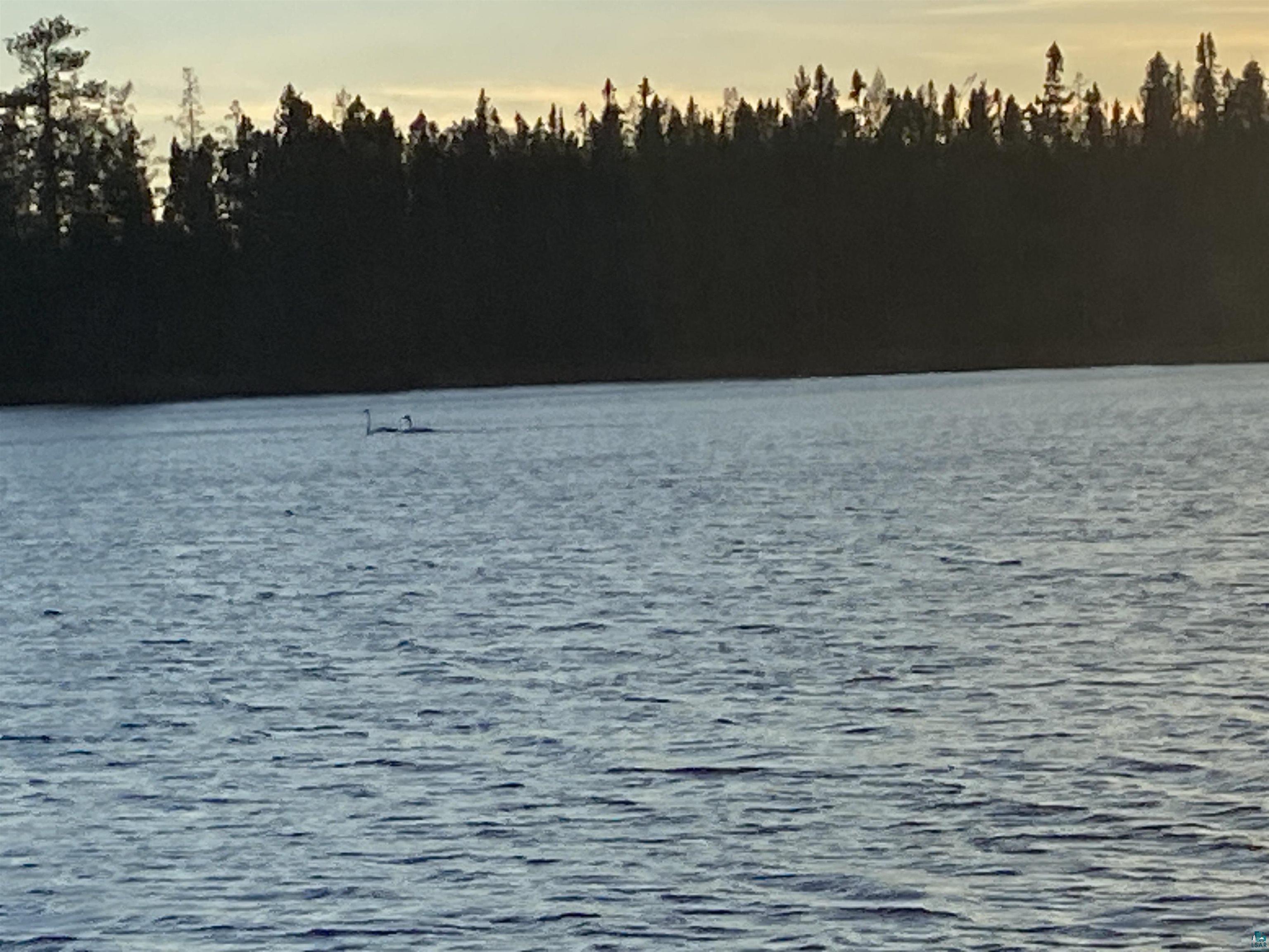 2102-13 N Bear Lake Rd Brimson MN 55602 - Big Bear Lake 6125410 image31