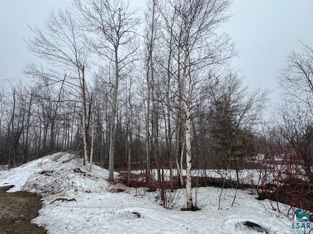 2103 Miller Creek Dr Duluth MN 55811 6124512 image22