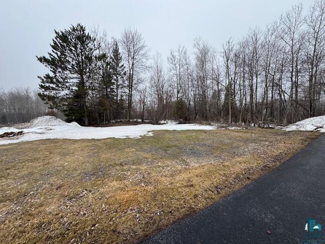 2103 Miller Creek Dr Duluth MN 55811 6124512 image23