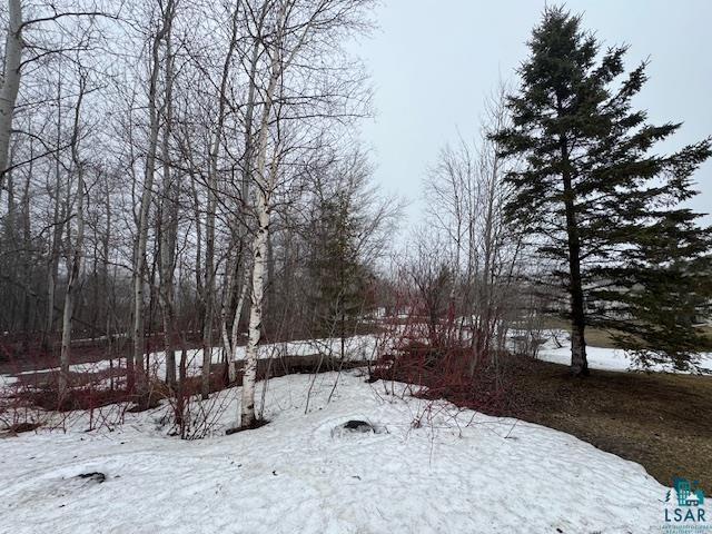 2103 Miller Creek Dr Duluth MN 55811 6124512 image25
