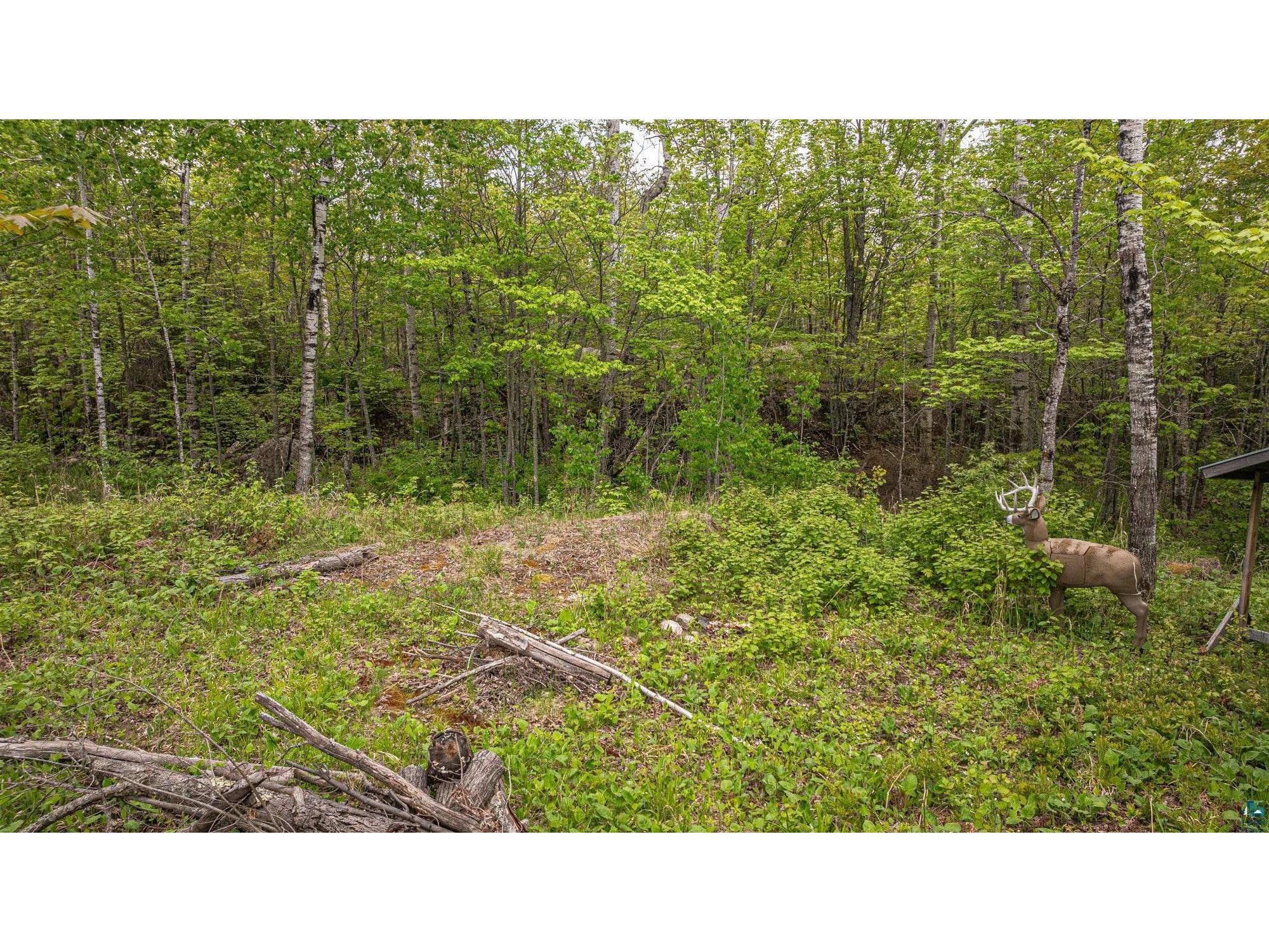 2148 Haapala Rd Ely MN 55731 6124453 image21
