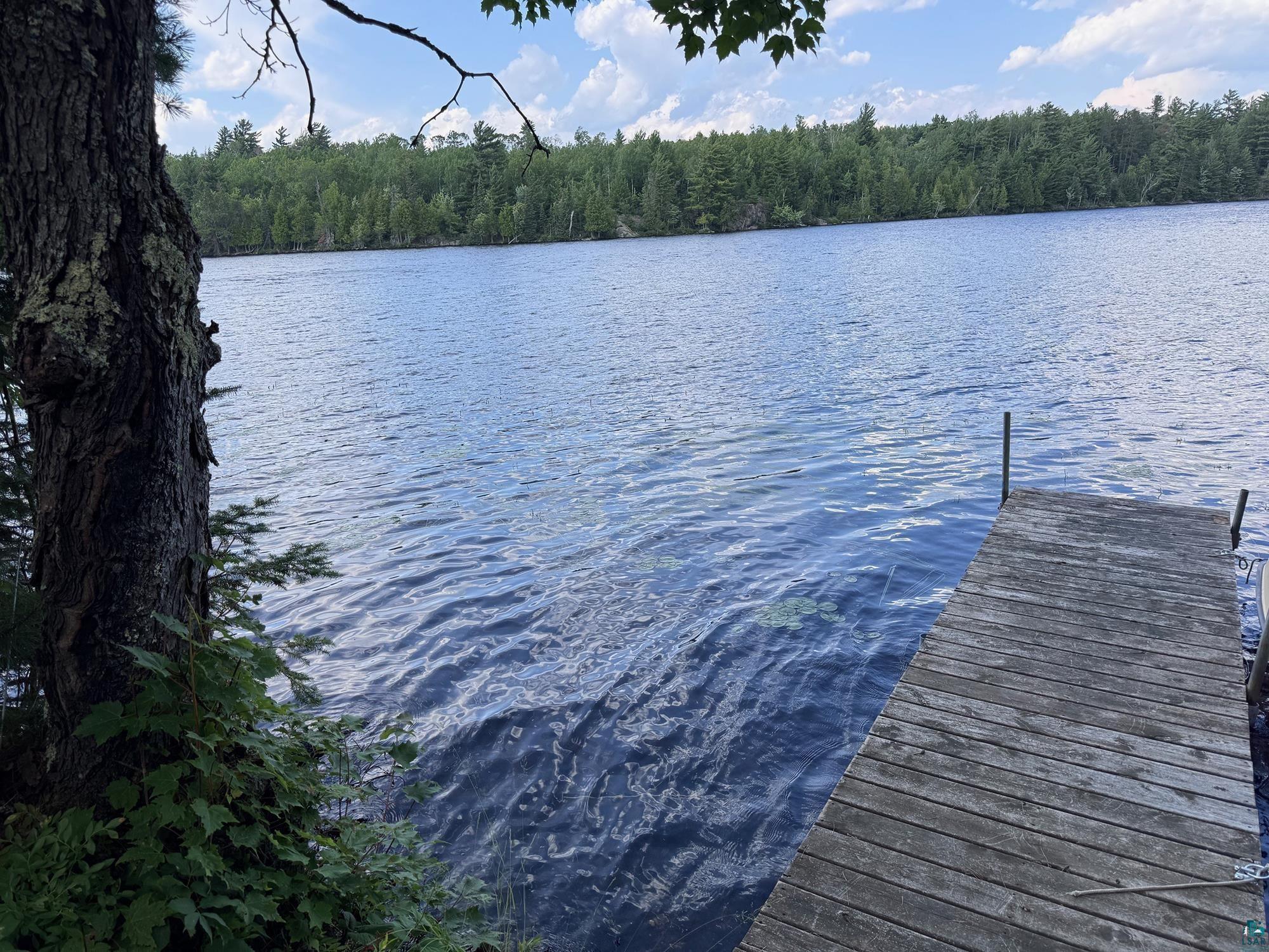 2148 Haapala Rd Ely MN 55731 6124453 image43