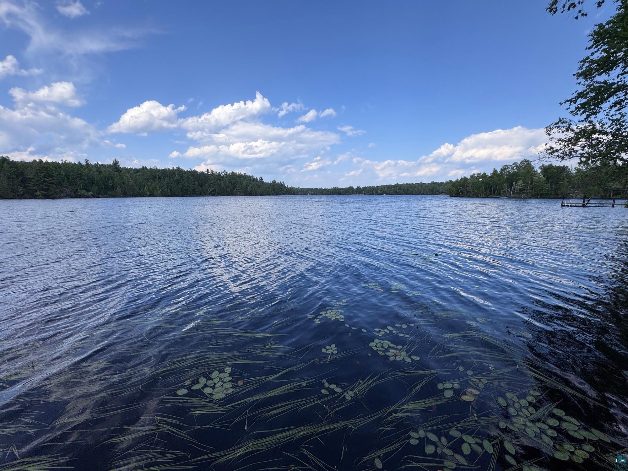 2148 Haapala Rd Ely MN 55731 6124453 image45