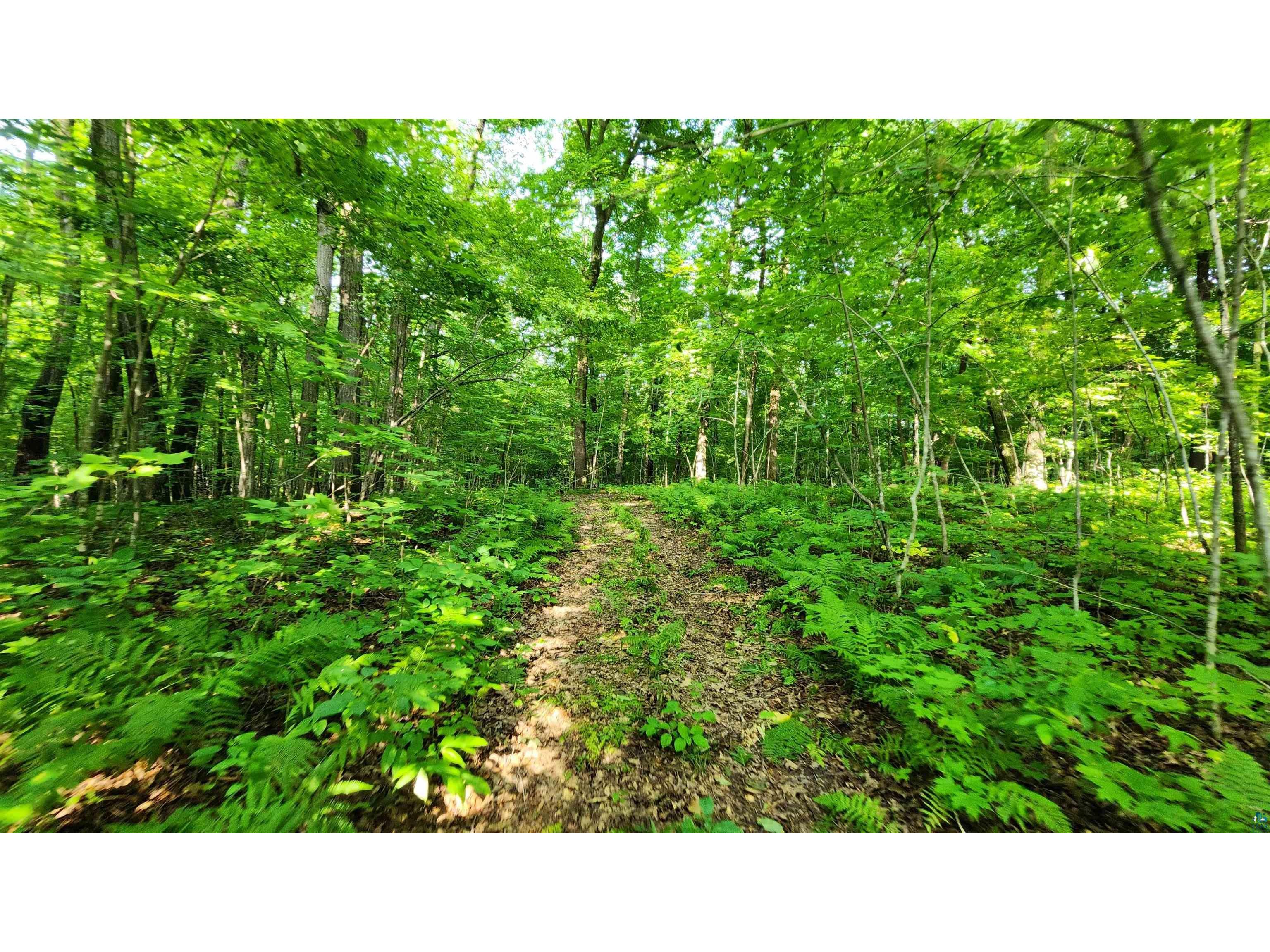 2156 140th Ave, Milltown, WI, 54858 MLS 6109551 Edina Realty