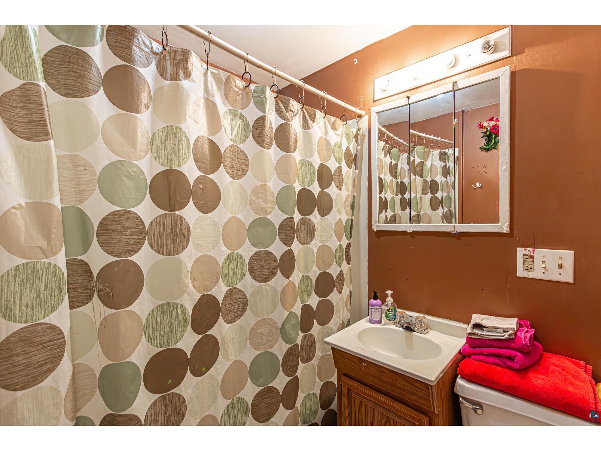 216 E Sheridan St Ely MN 55731 6124763 image98