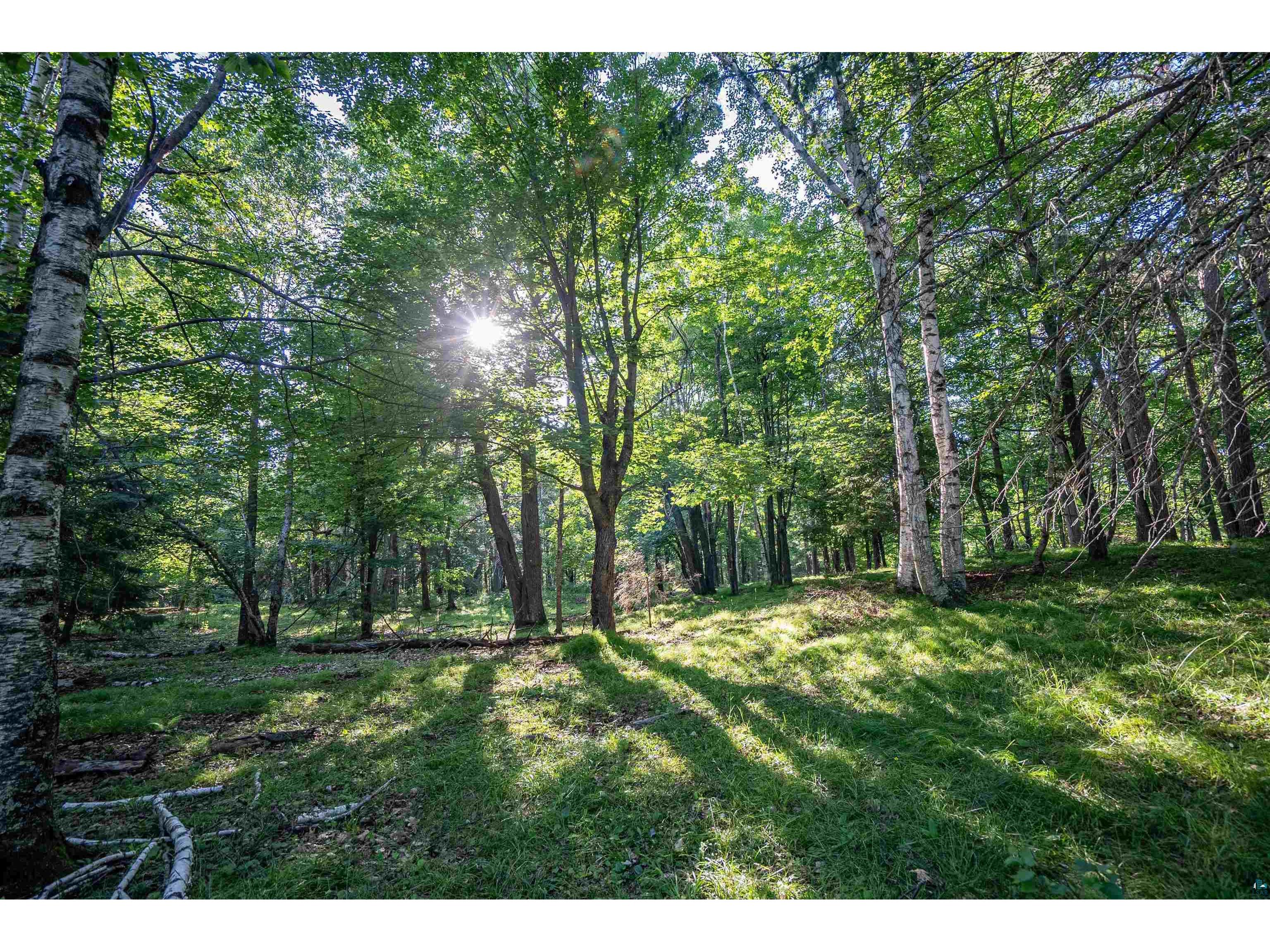 2182 County Rd 4 Carlton MN 55718 - POND 6126815 image11