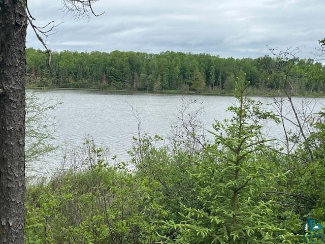 2217 Michael Beach Rd Zim MN 55738 - West Stone 6120266 image28