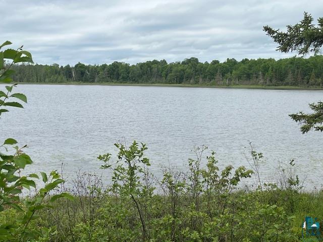 2217 Michael Beach Rd Zim MN 55738 - West Stone 6120266 image30