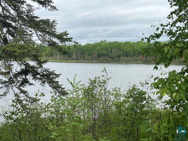 2217 Michael Beach Rd Zim MN 55738 - West Stone 6120266 image31